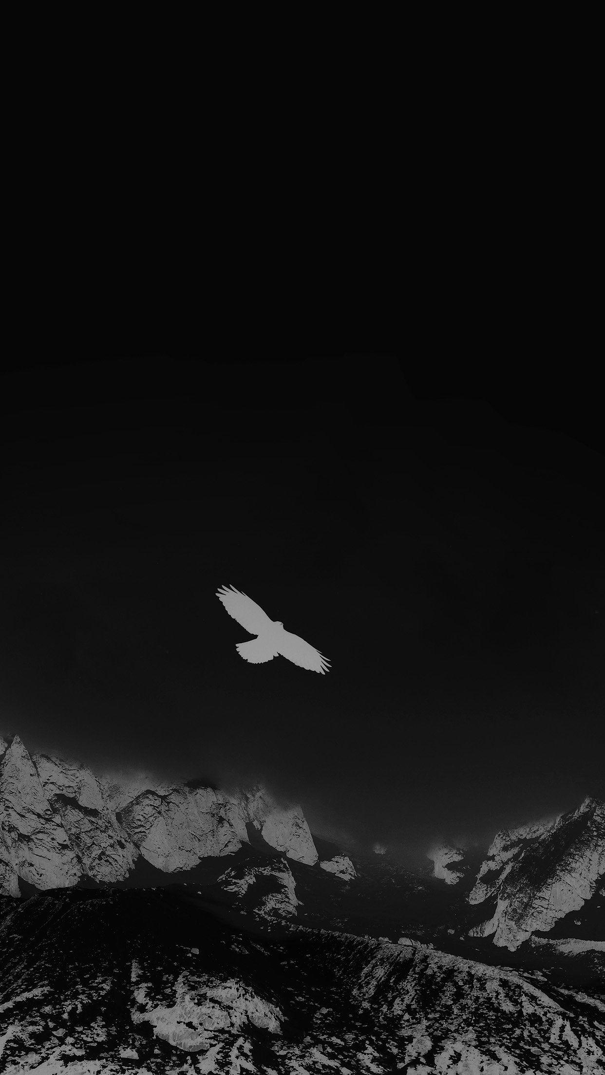 1242x2208 Julia Revitt Eagle Black Mountain Winter Snow Nature Animal Wallpaper and Background for iPhone
