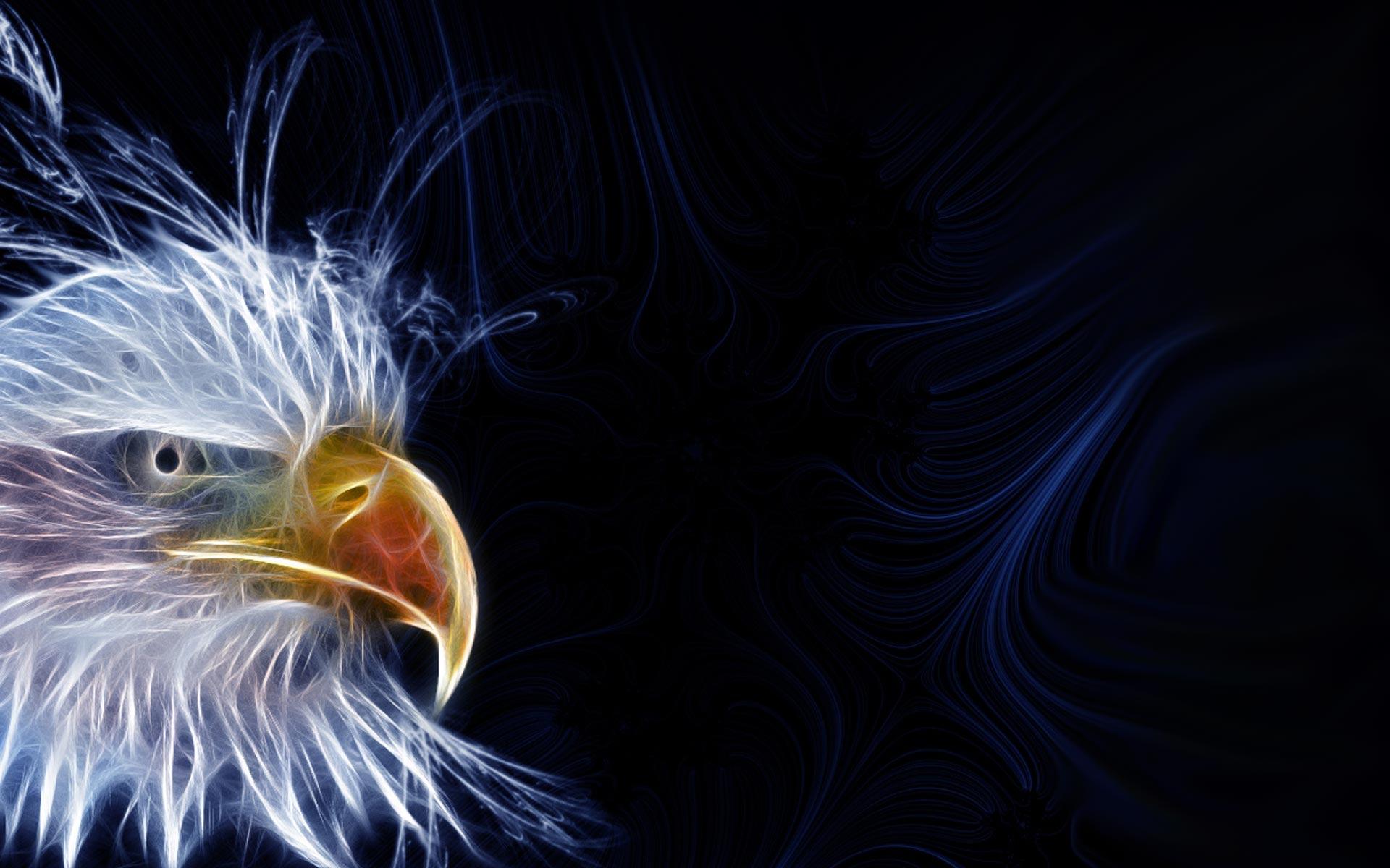 1920x1200 Black Eagle Wallpaper HD 19810