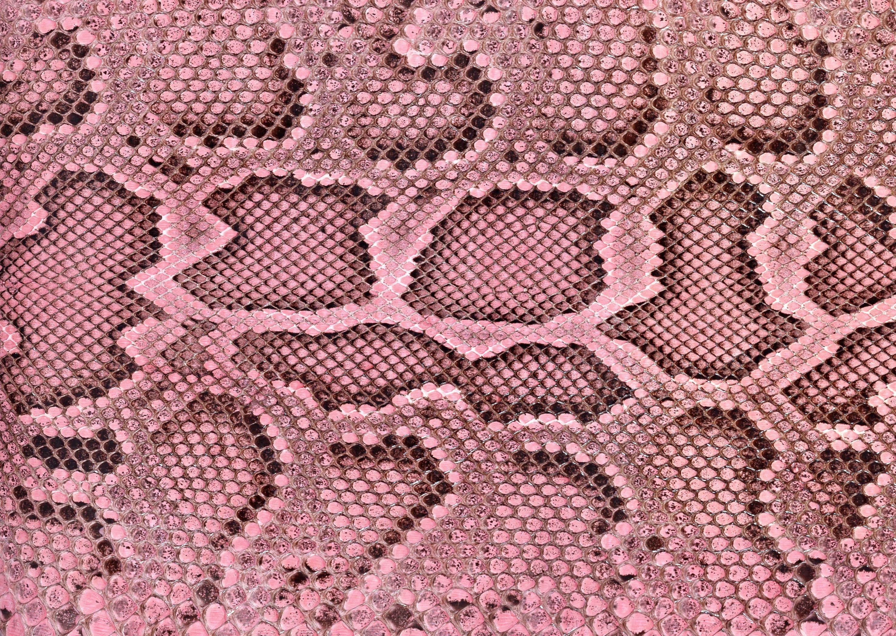 Pink Snakeskin Wallpapers - Top Free Pink Snakeskin Backgrounds