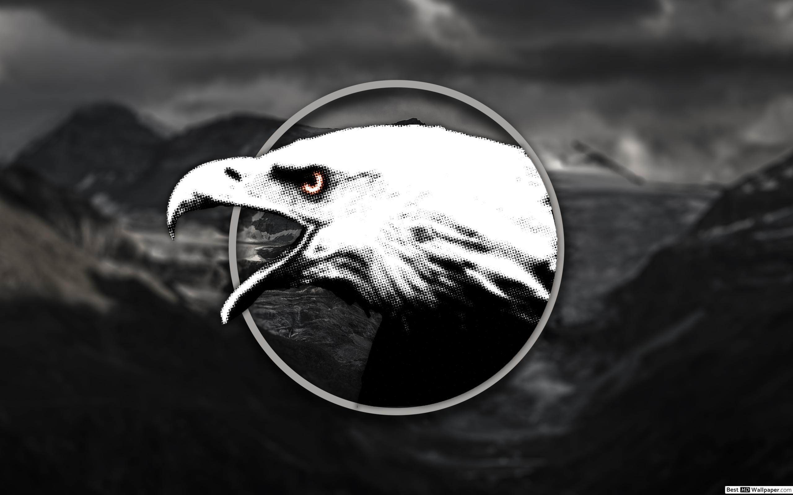 Black Eagle HD Wallpapers - Top Free Black Eagle HD Backgrounds