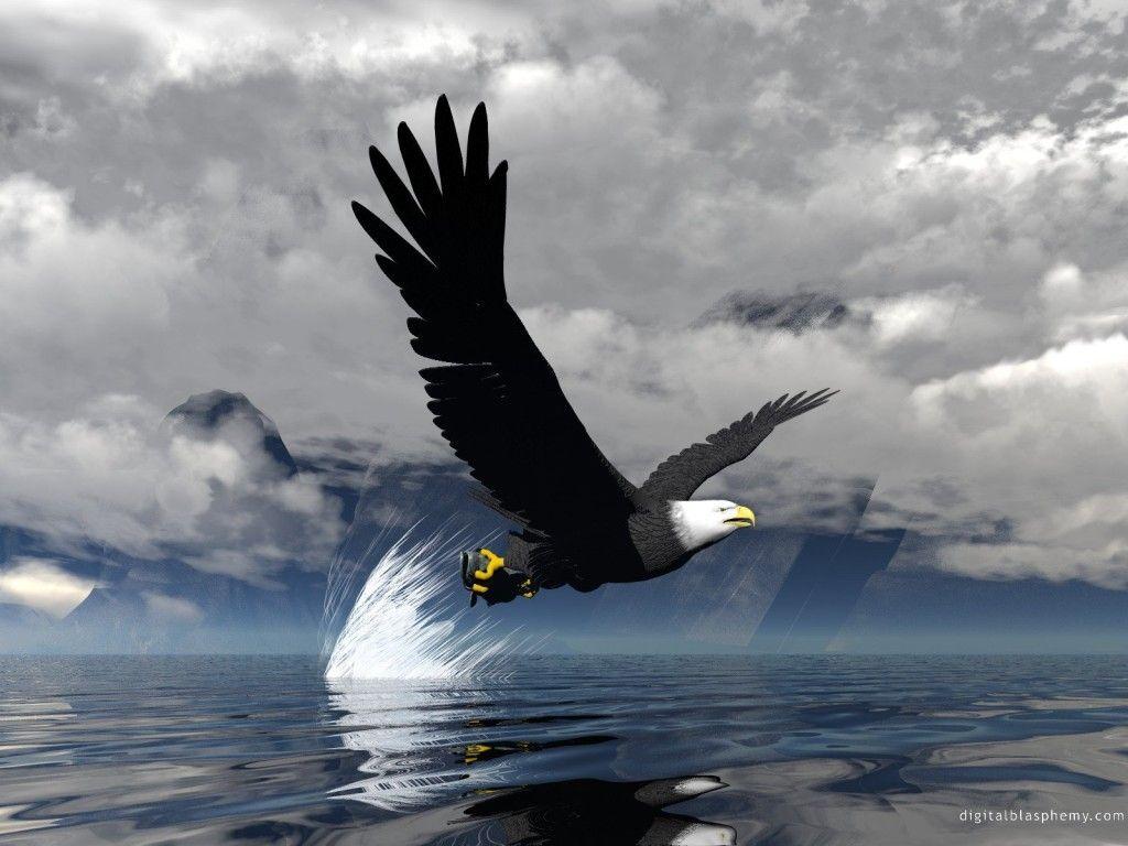 1024x768 Black Eagles Wallpaper