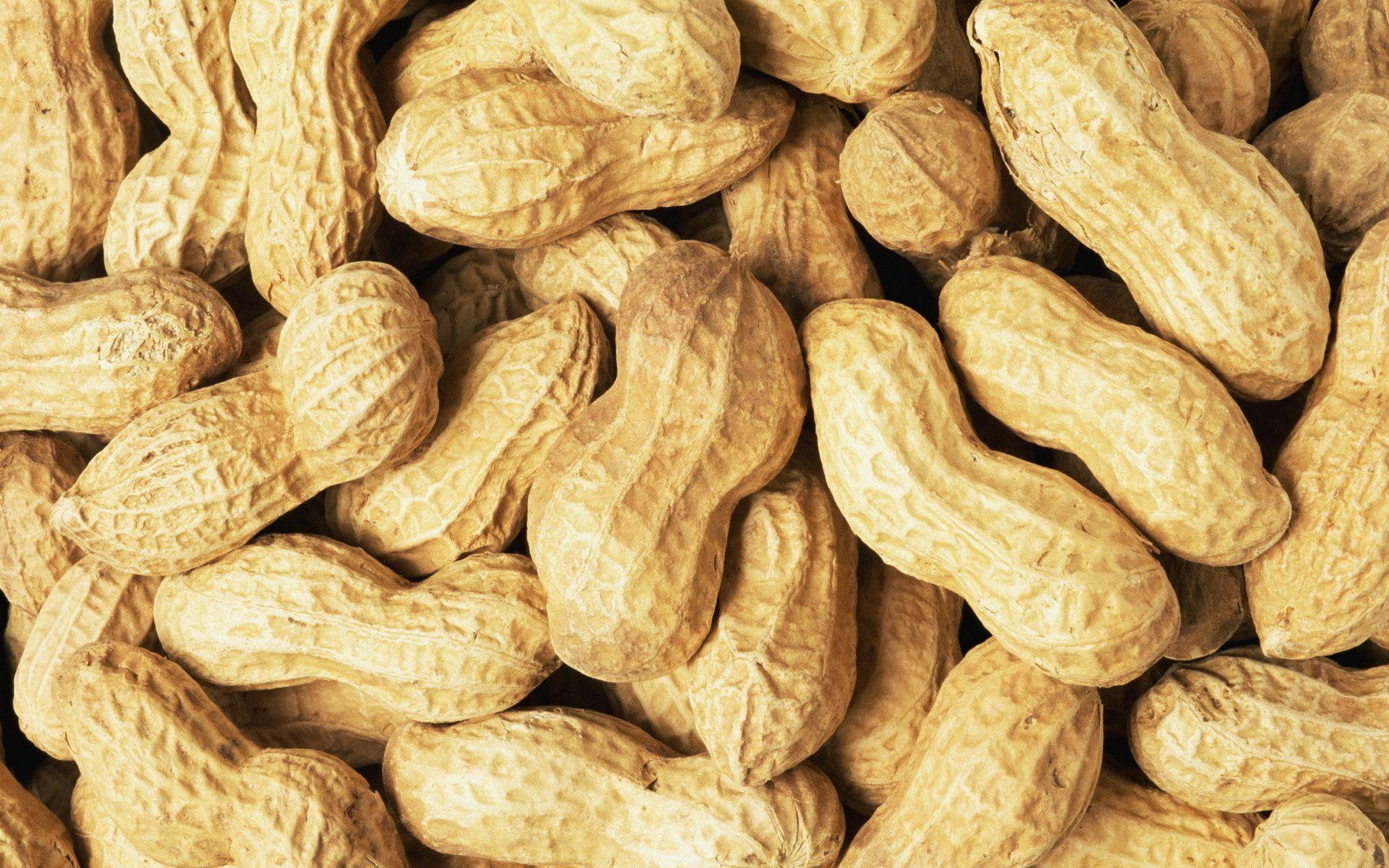 1920x1200 Peanut Wallpaper