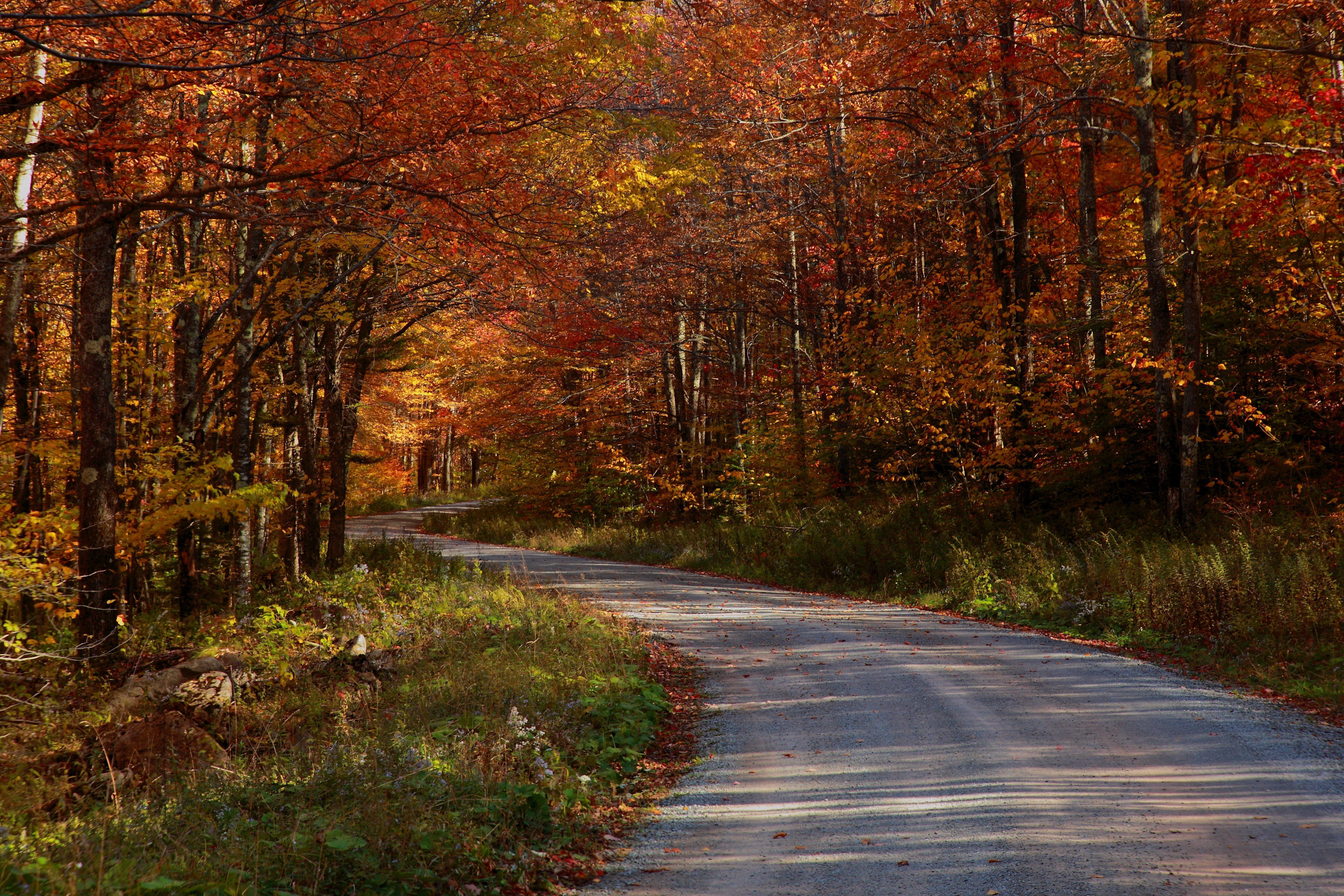 5616x3744 Free download FREE DESKTOP WALLPAPER COUNTRY HOUSE [5616x3744]