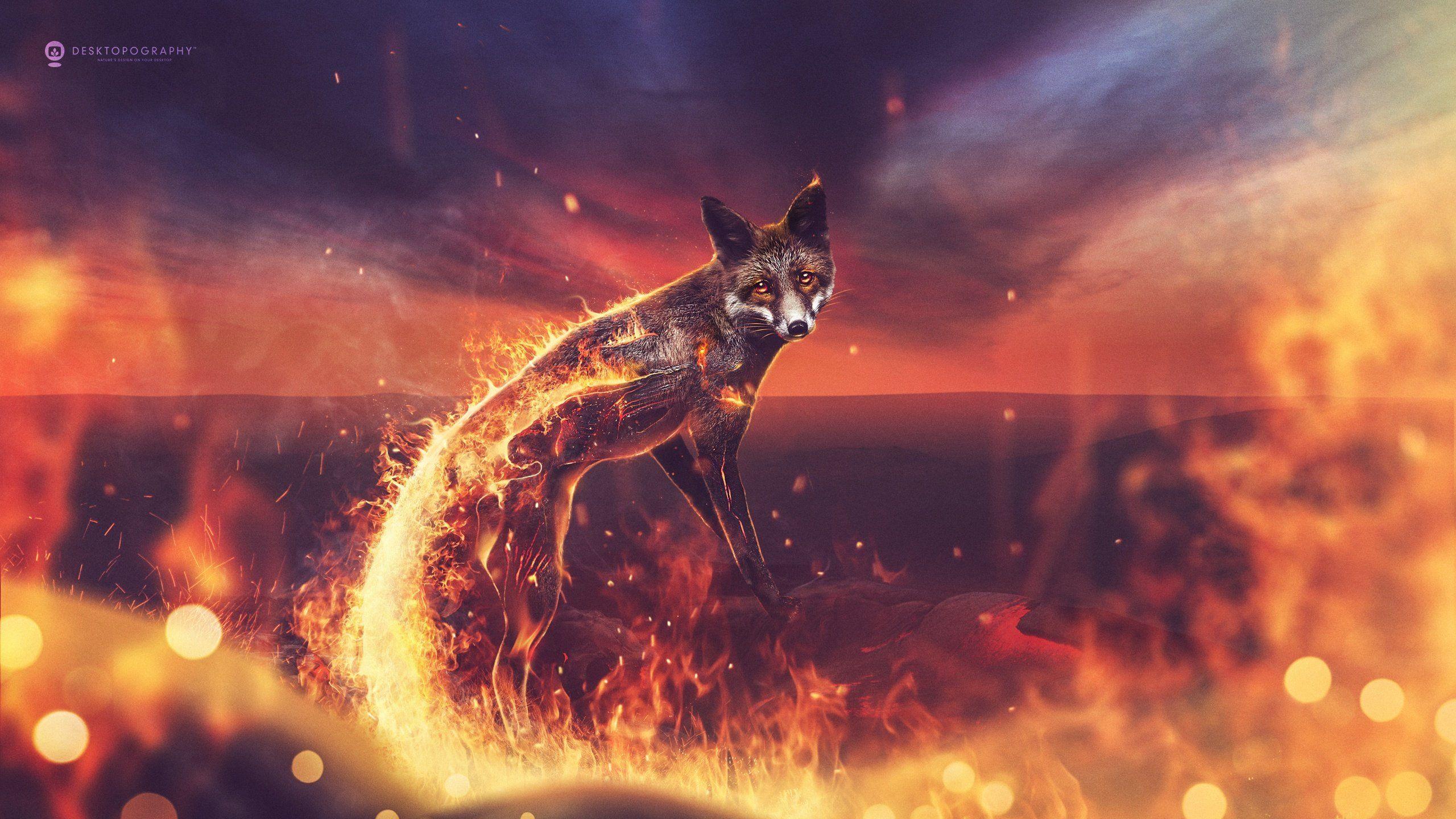 2560x1440 Fantasy Fox Fantasy Animals HD Wallpaper 4k