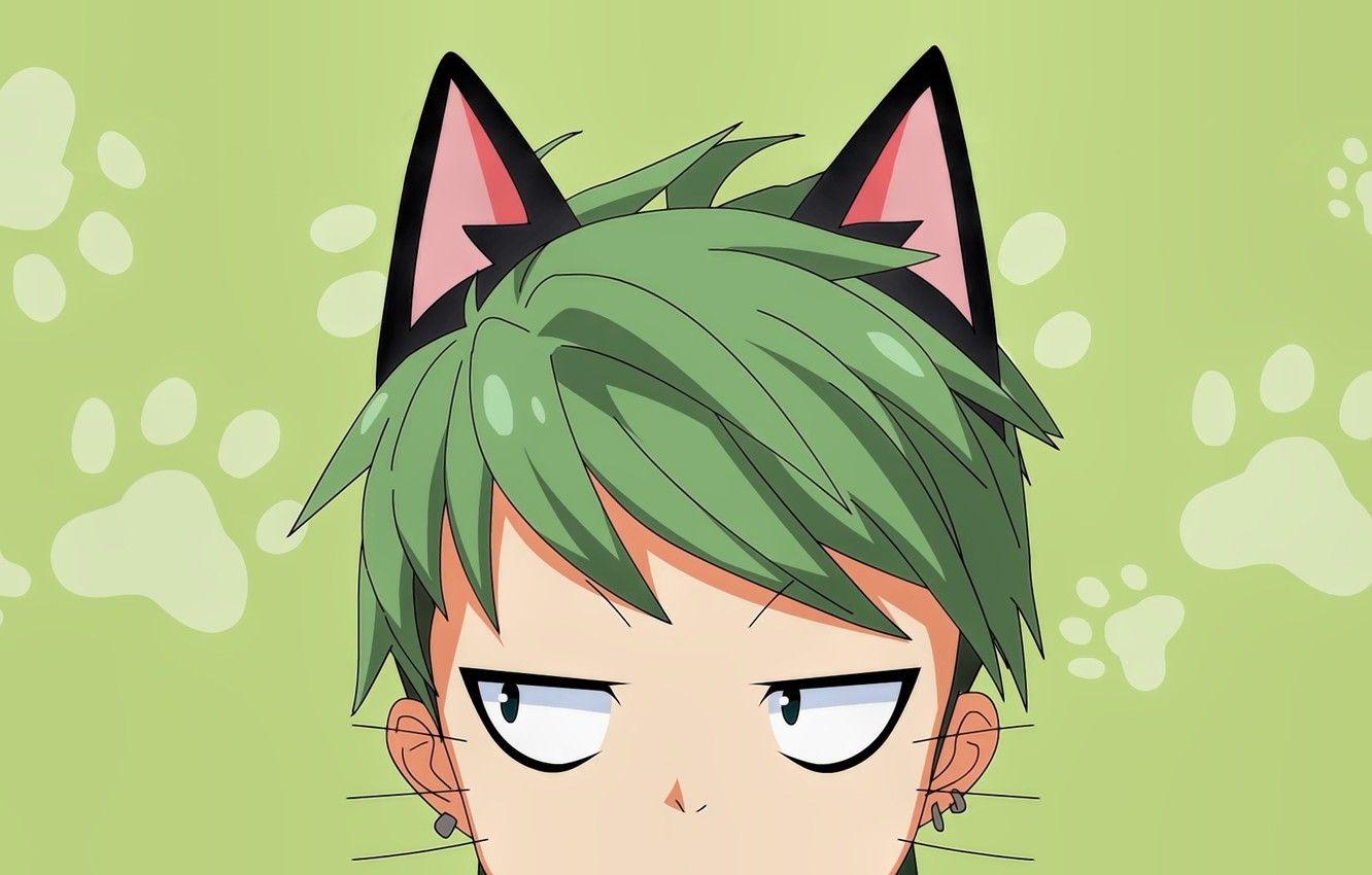 Renders VOCALOID, male green haired anime character transparent background  PNG clipart | HiClipart