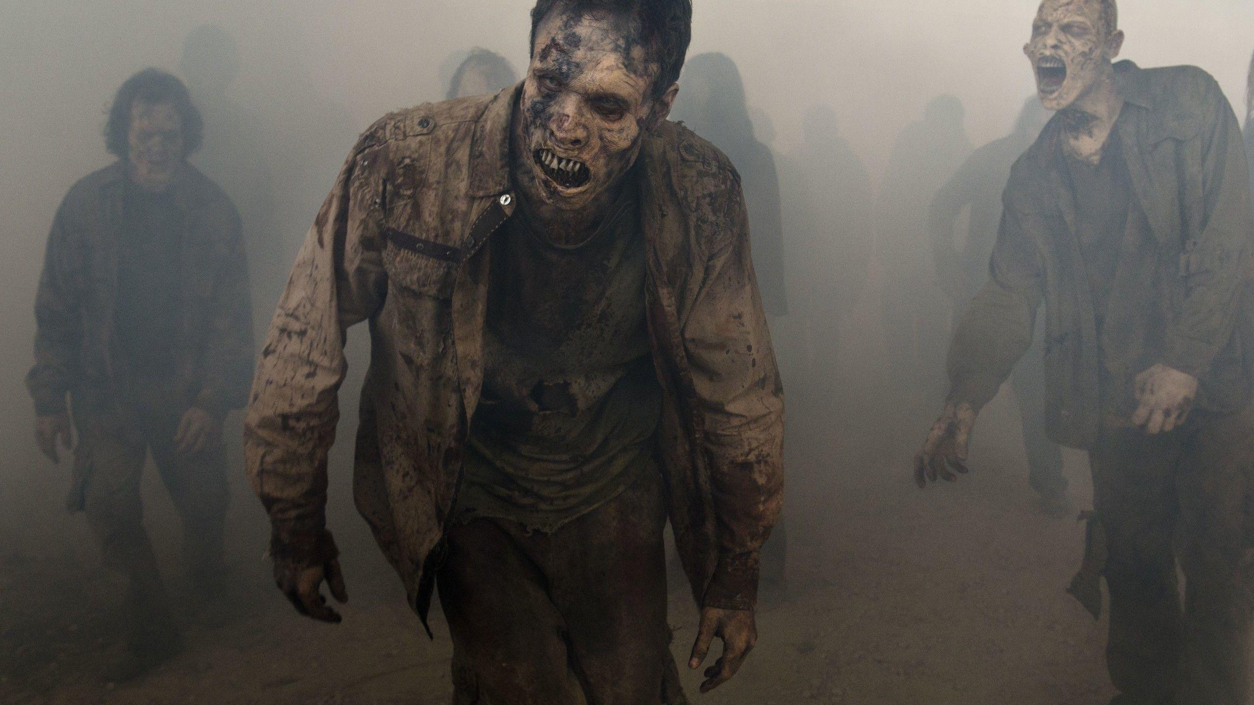 Walking Dead Zombie Wallpapers Top Free Walking Dead Zombie Backgrounds Wallpaperaccess