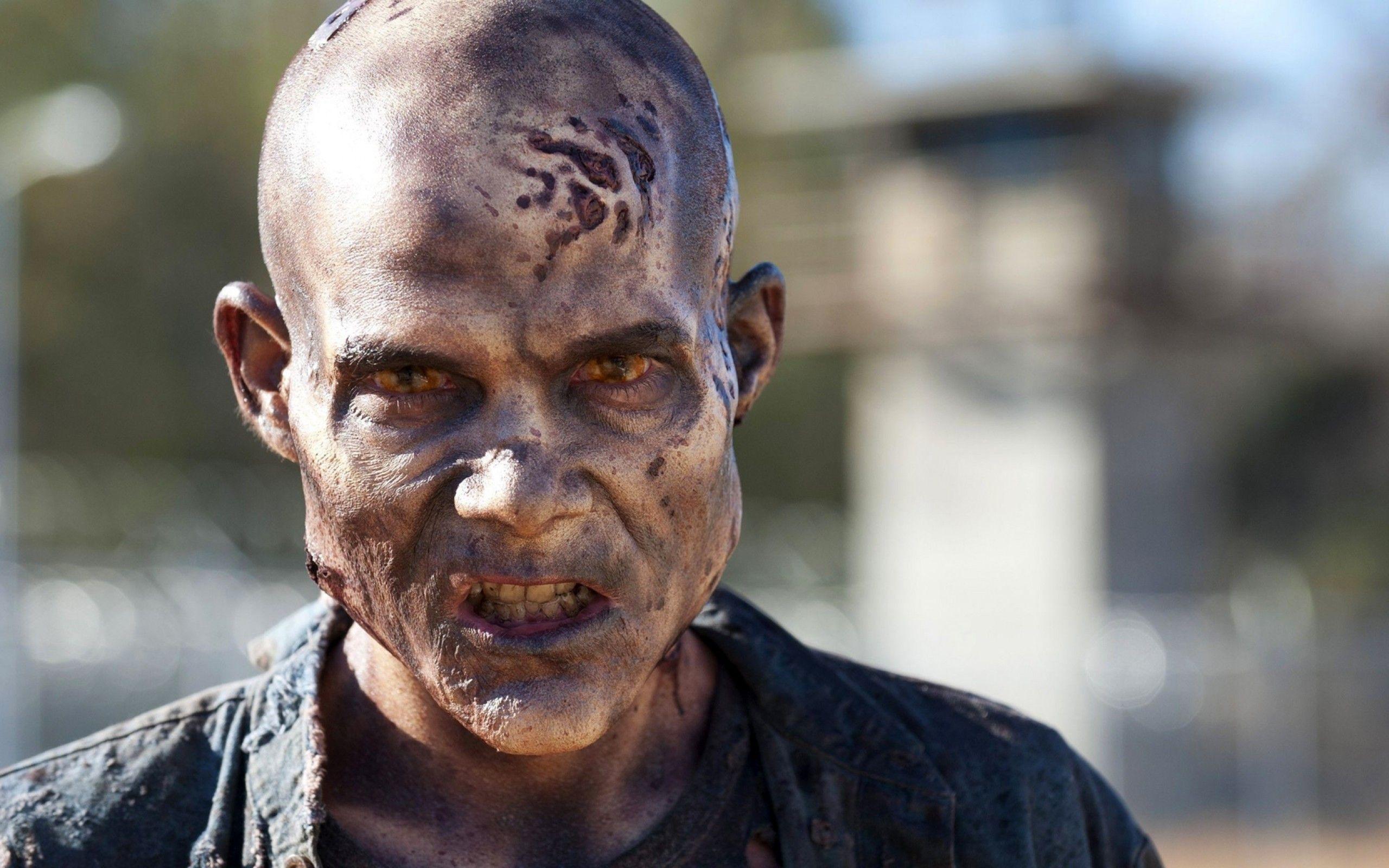2560x1600 Download 2560x1600 The Walking Dead, Zombie, Tv Series Wallpaper