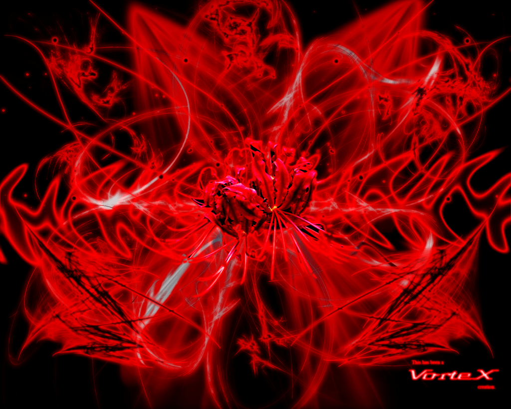 Red Spider Lily PNG Transparent Images Free Download | Vector Files |  Pngtree
