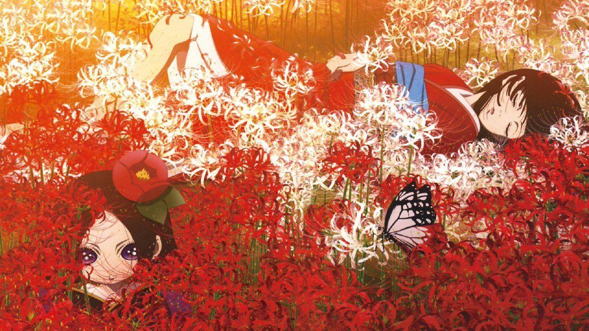 Spider Lily Wallpapers - Top Free Spider Lily Backgrounds - WallpaperAccess