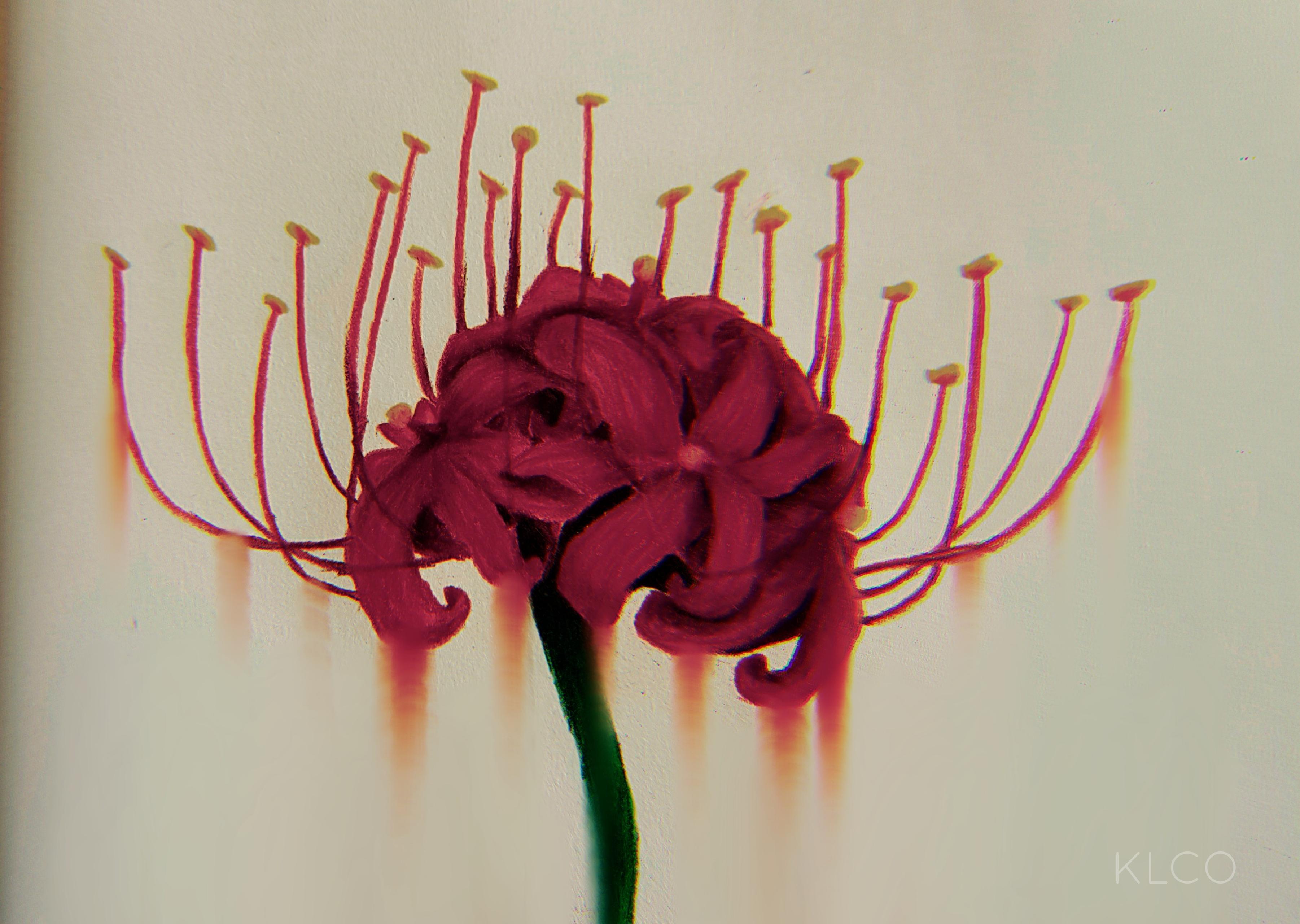 3603x2560 27++ Anime Red Spider Lily Wallpaper Top Wallpaper