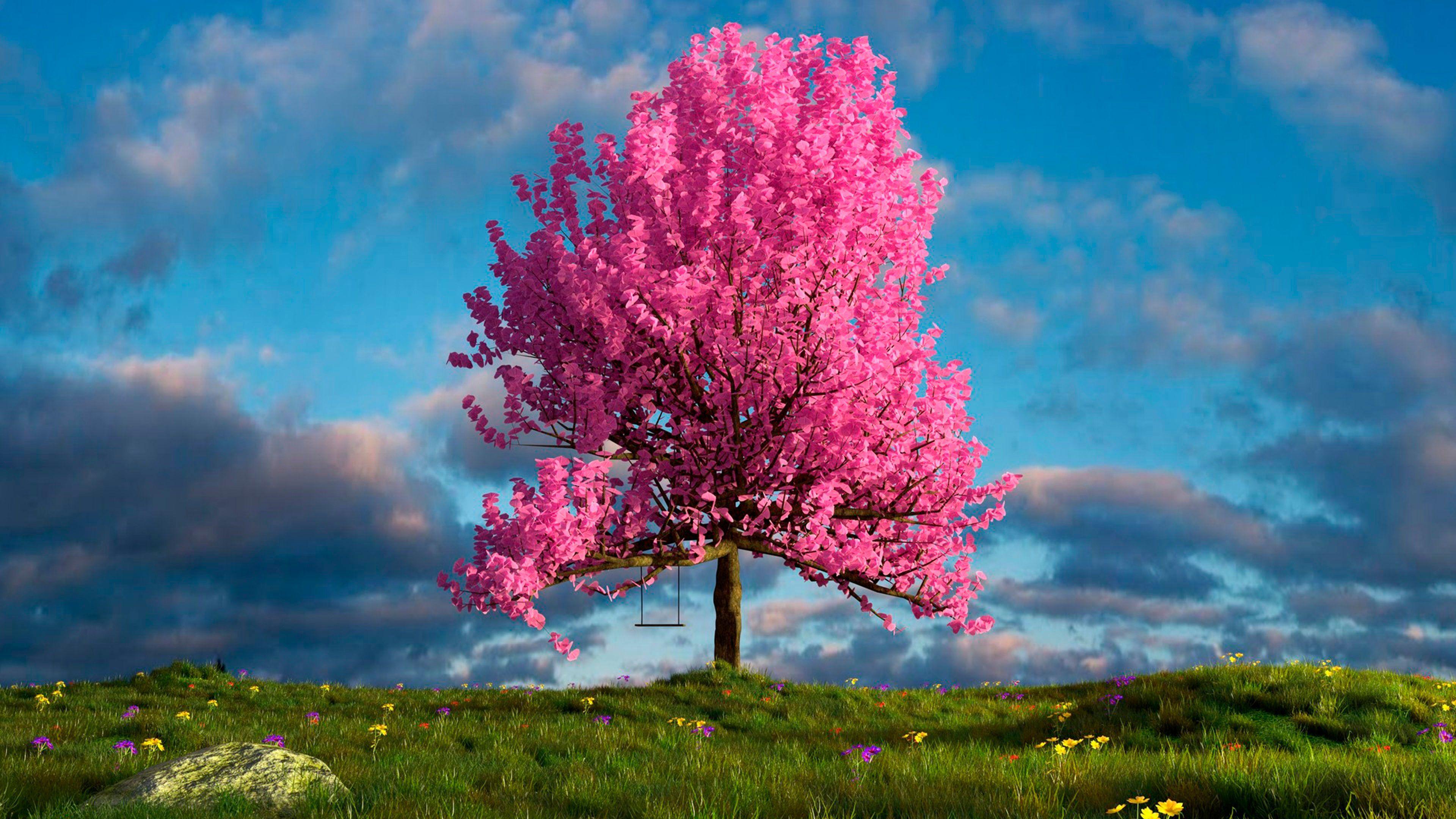 Hình nền 3840x2160 Pink Tree 4K