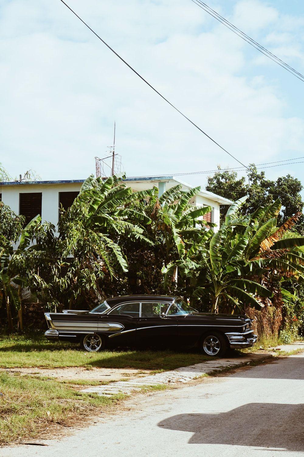 1000x1500 Varadero, Cuba Picture. Download Free Image