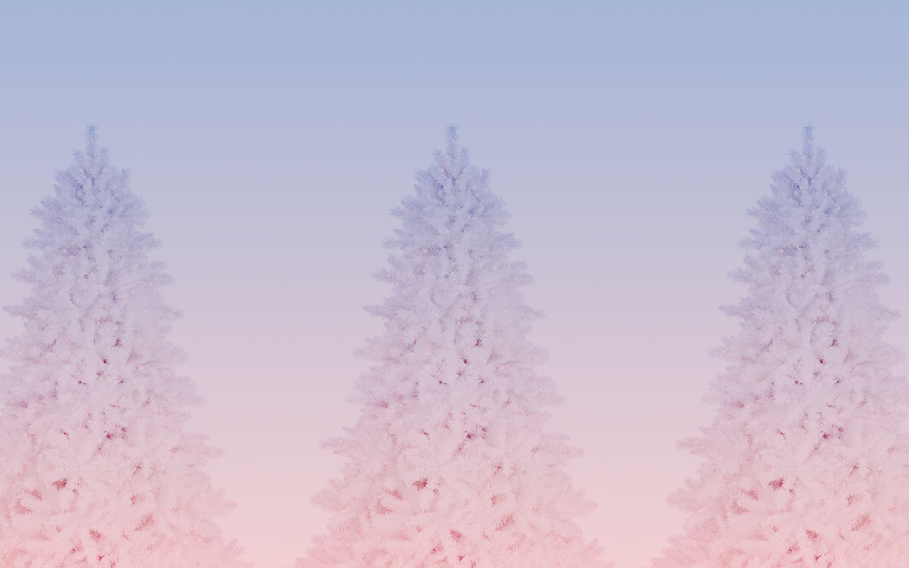 1856x1161 Pink Laptop Wallpaper