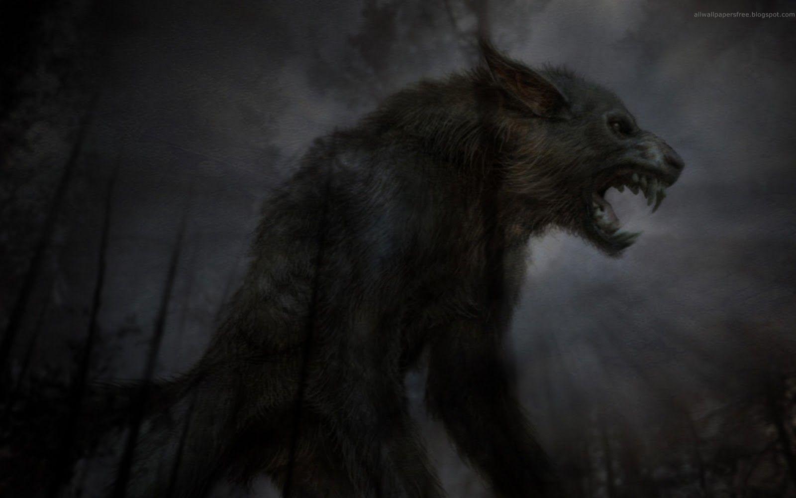 1600x1000 Cool HD Wallpaper: Wolf Wallpaper
