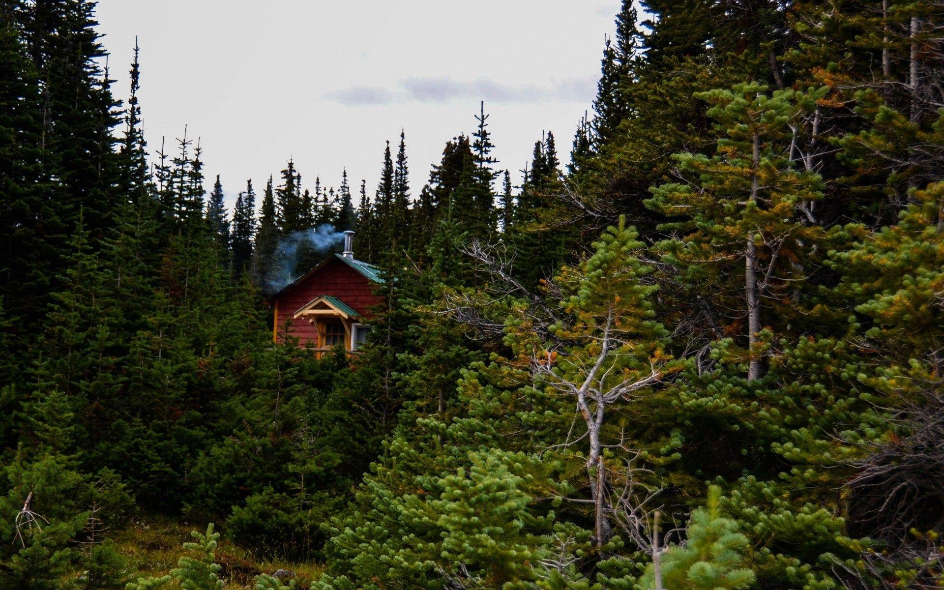 1920x1200 Cabin In The Woods