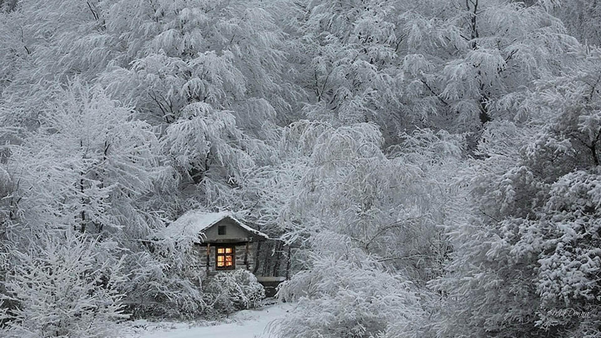 1920x1080 Tiny Cabin In The Woods HD desktop wallpaper : Widescreen : High Definition
