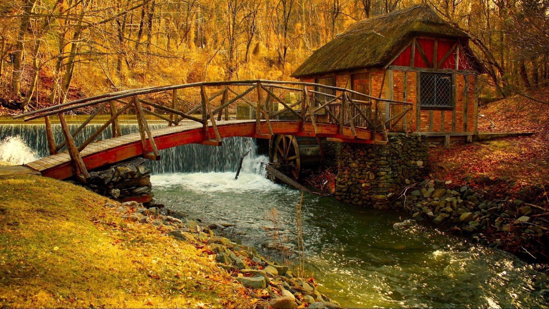 1920x1080 Free download Cottage in the woods wallpaper 31027 [1920x1080] for your Desktop, Mobile & Tablet. Explore Cottage in the Woods Wallpaper. Cottage in the Woods Wallpaper, Walk