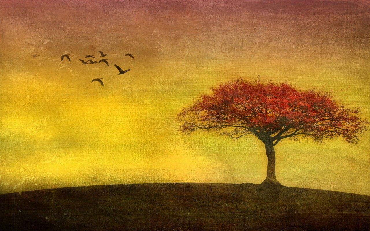 1280x800 Red Tree Birds Yellow Sky wallpaper. Red Tree Birds Yellow Sky