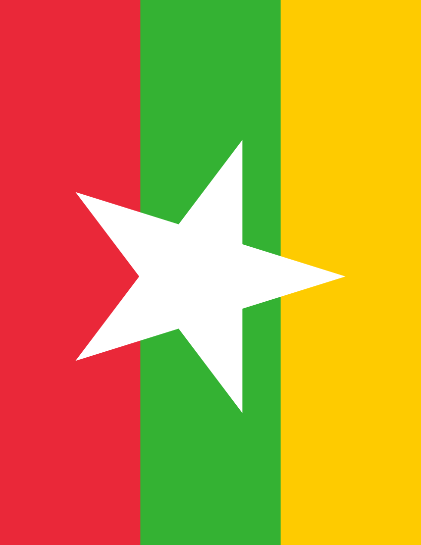 850x1100 Myanmar Flag Wallpaper