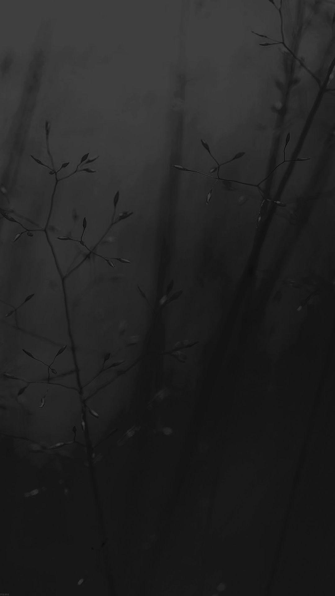 1080x1920 Best aesthetic iPhone 8 Wallpaper HD