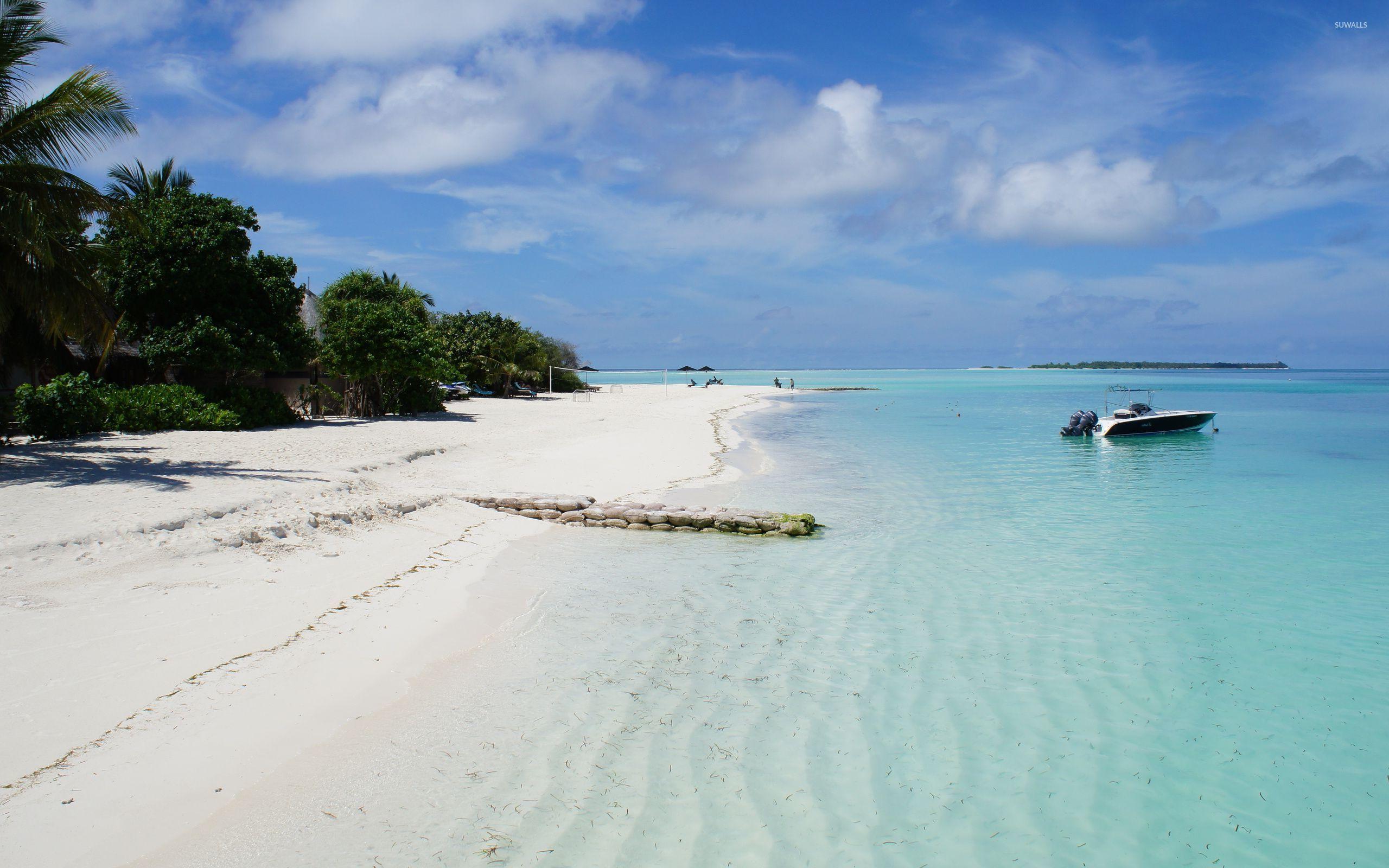 2560x1600 White sand on the shore wallpaper wallpaper