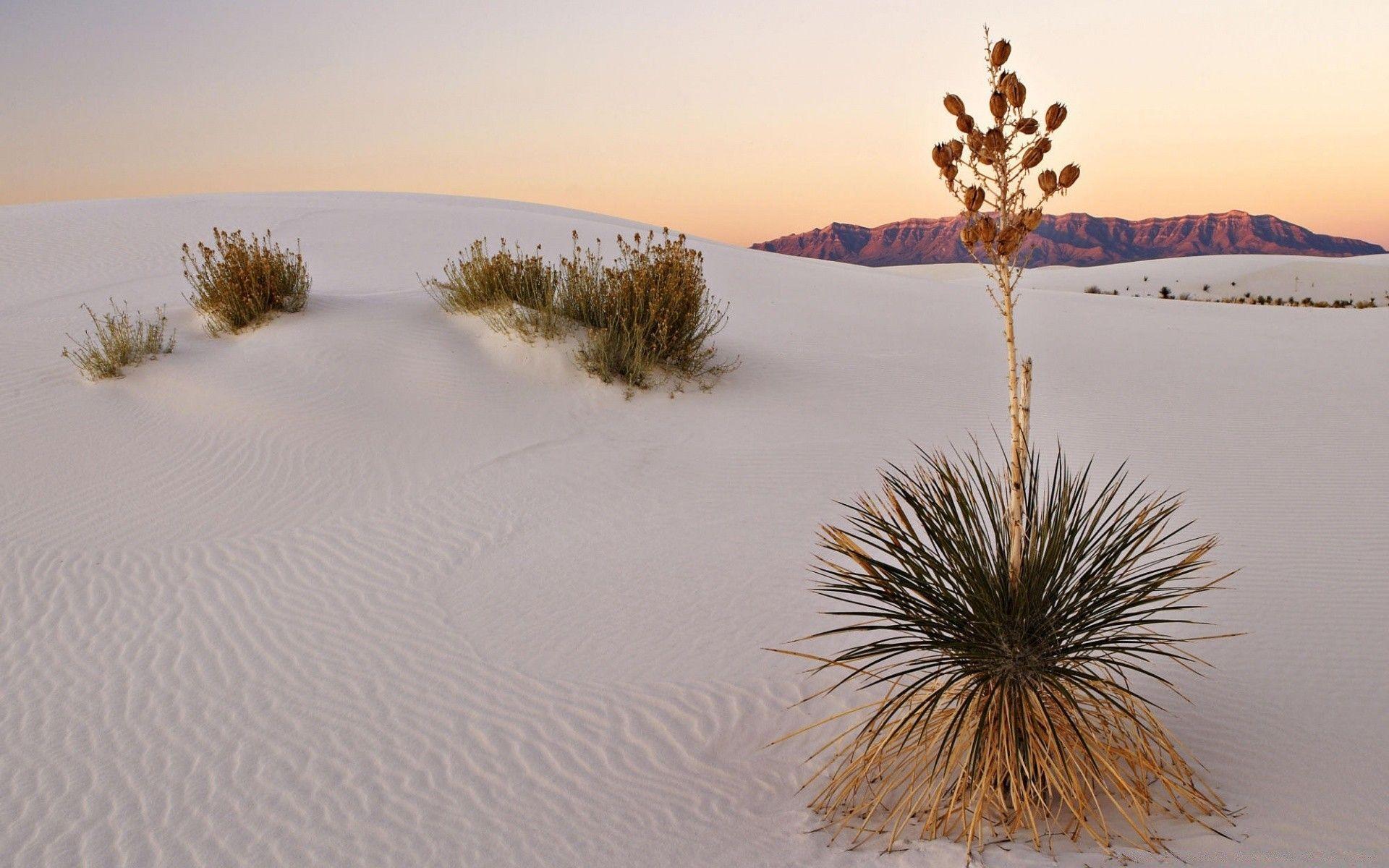 1920x1200 White Sand Desert