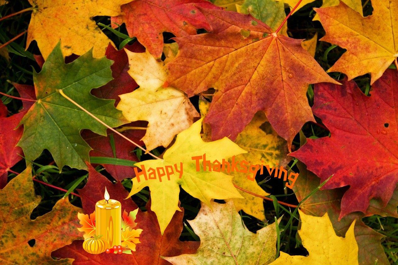 1280x853 Thanksgiving Tag wallpaper: Fruit Harvest Grapes Baskets Thanks