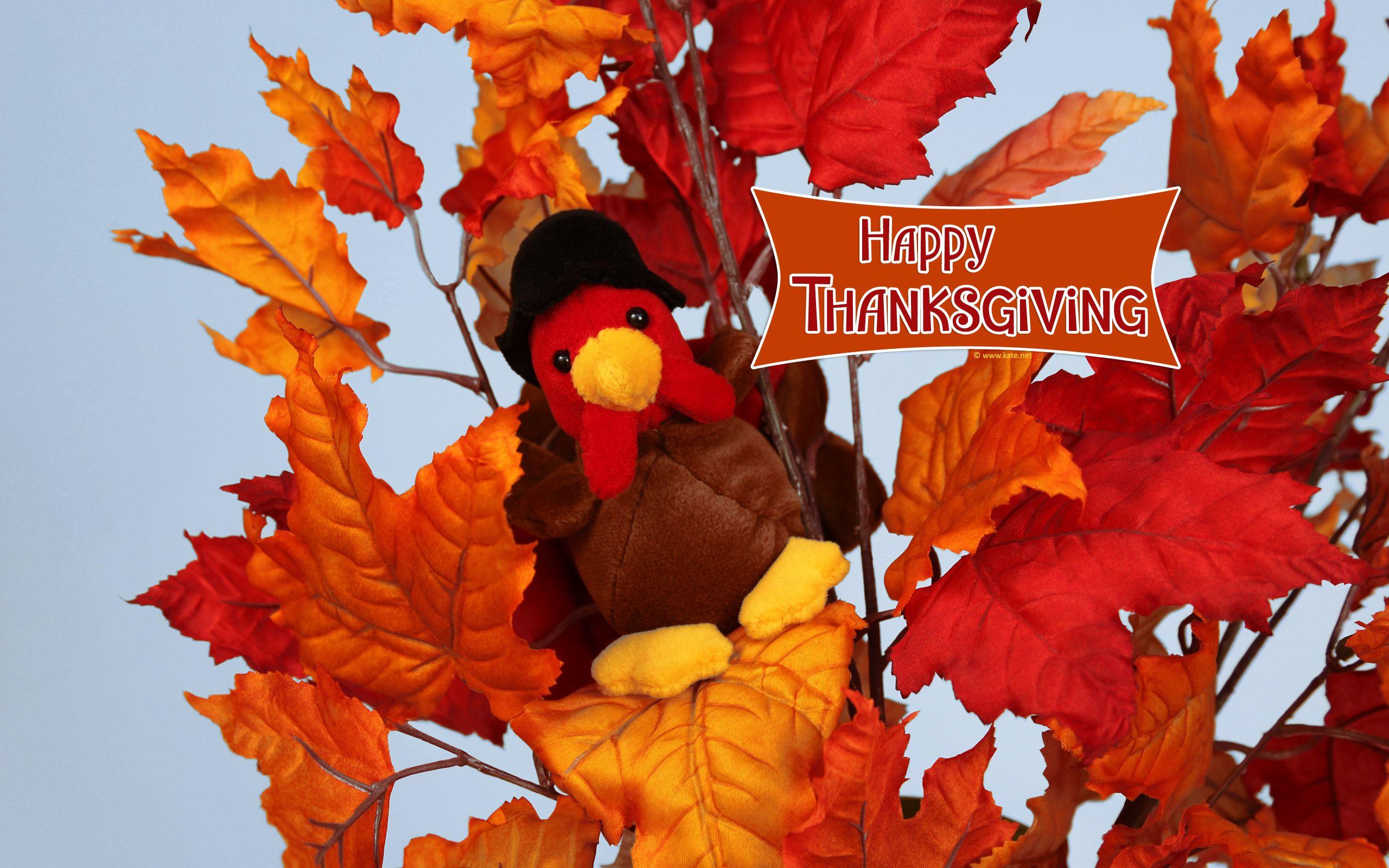 2560x1600 Thanksgiving Wallpaper by