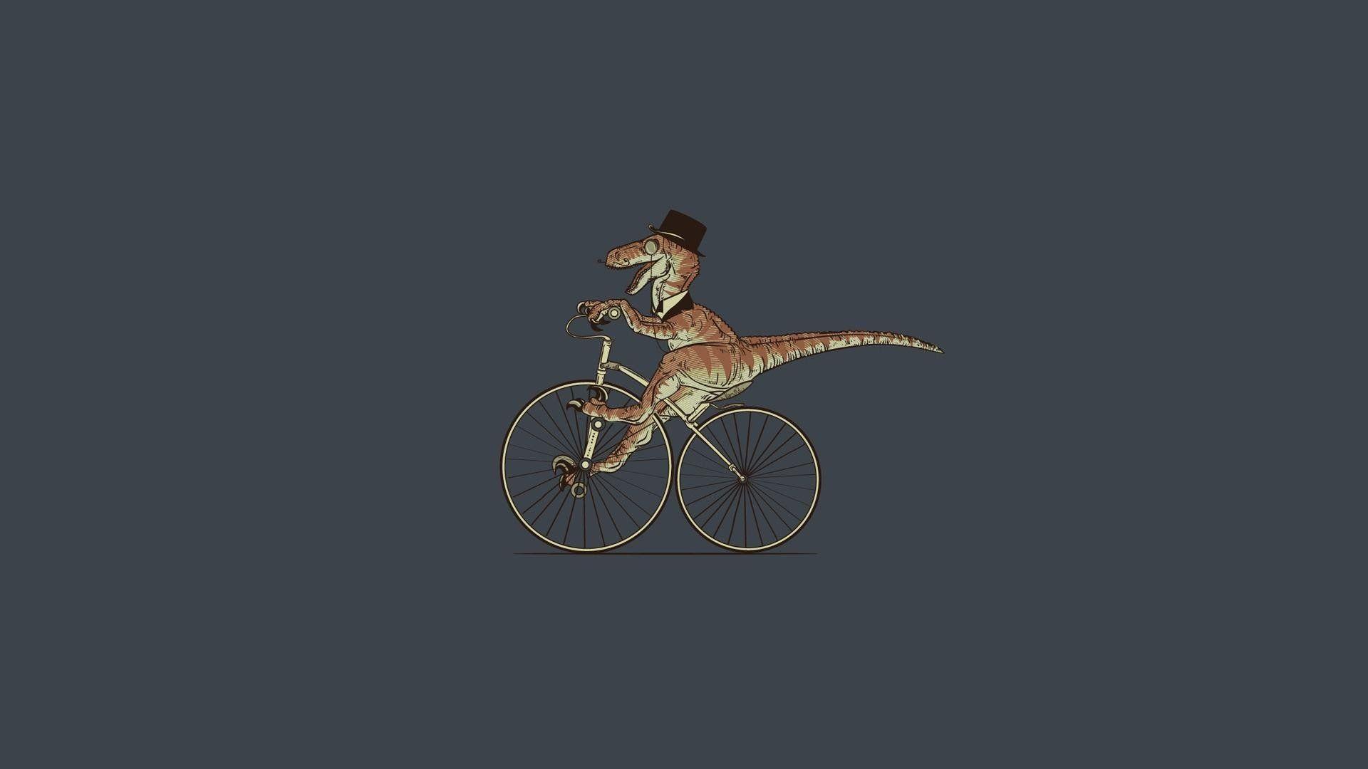 minimalist bike computer