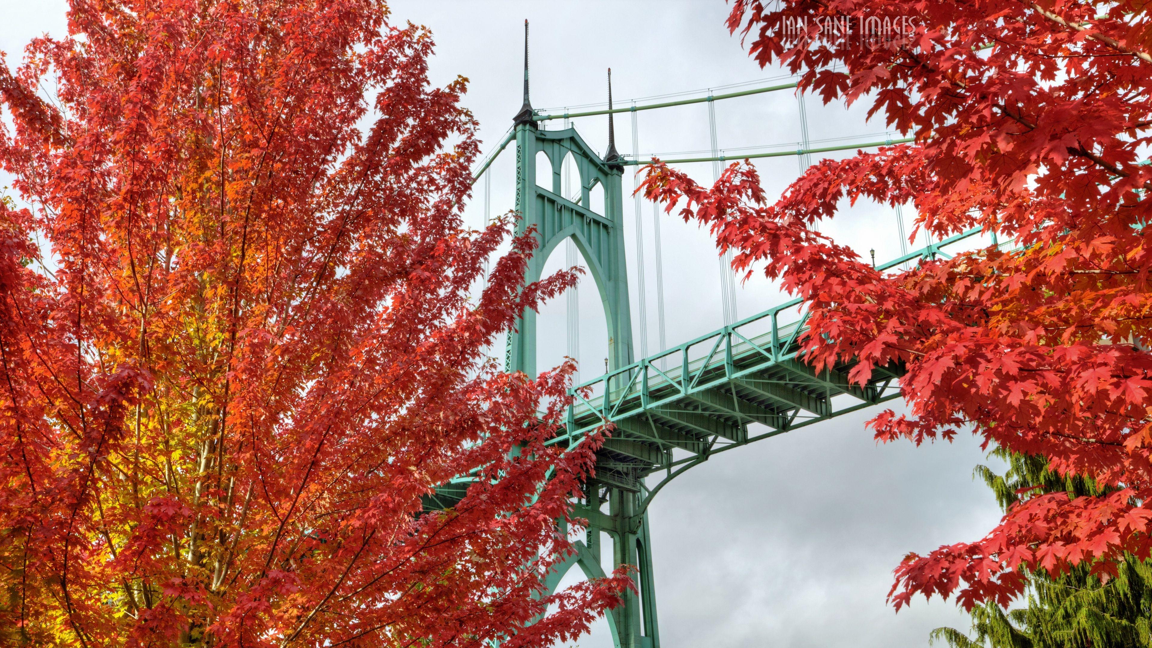 3840x2160 Wallpaper 4k bridge, trees, bright, autumn, cathedral park
