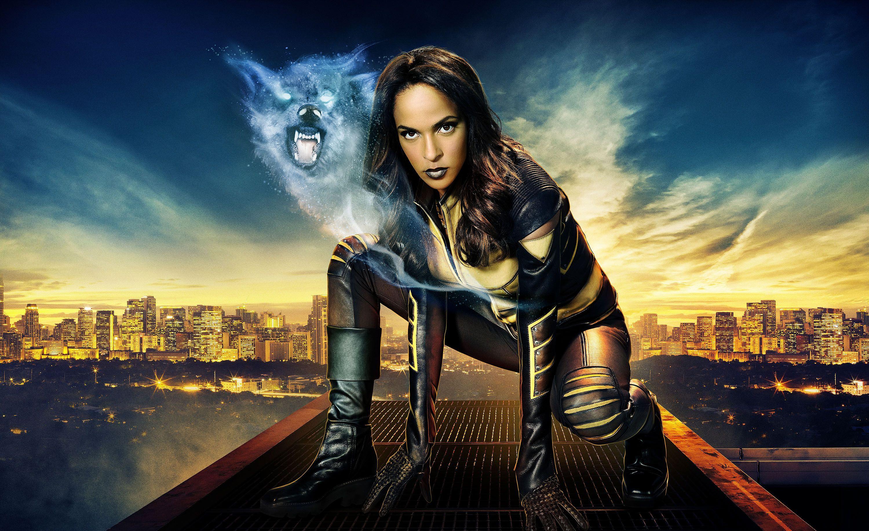 3000x1835 Download 13 Legends of Tomorrow Wallpaper