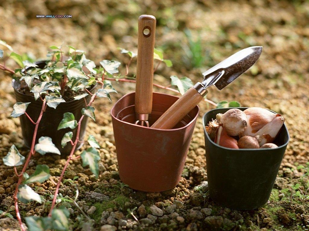 1024x768 Family Garden Gardening Wallpaper 1024x768 NO.17