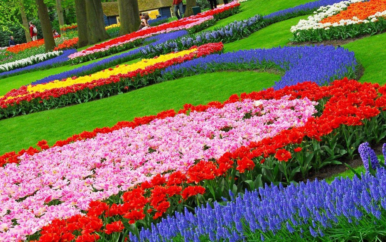 1336x838 Flower Gardens Free Wallpaper For Desktop