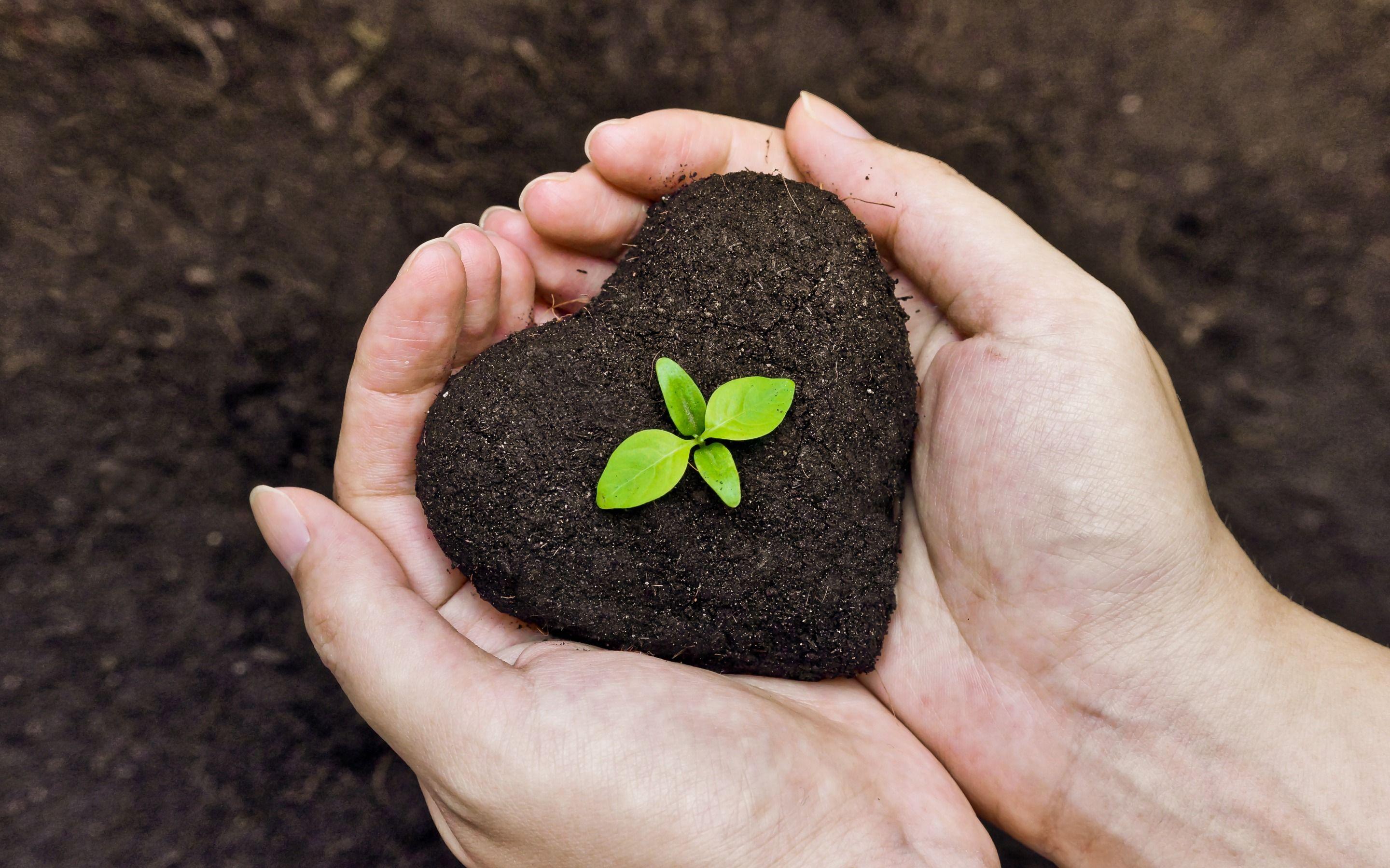 2880x1800 Love Gardening Wallpaper