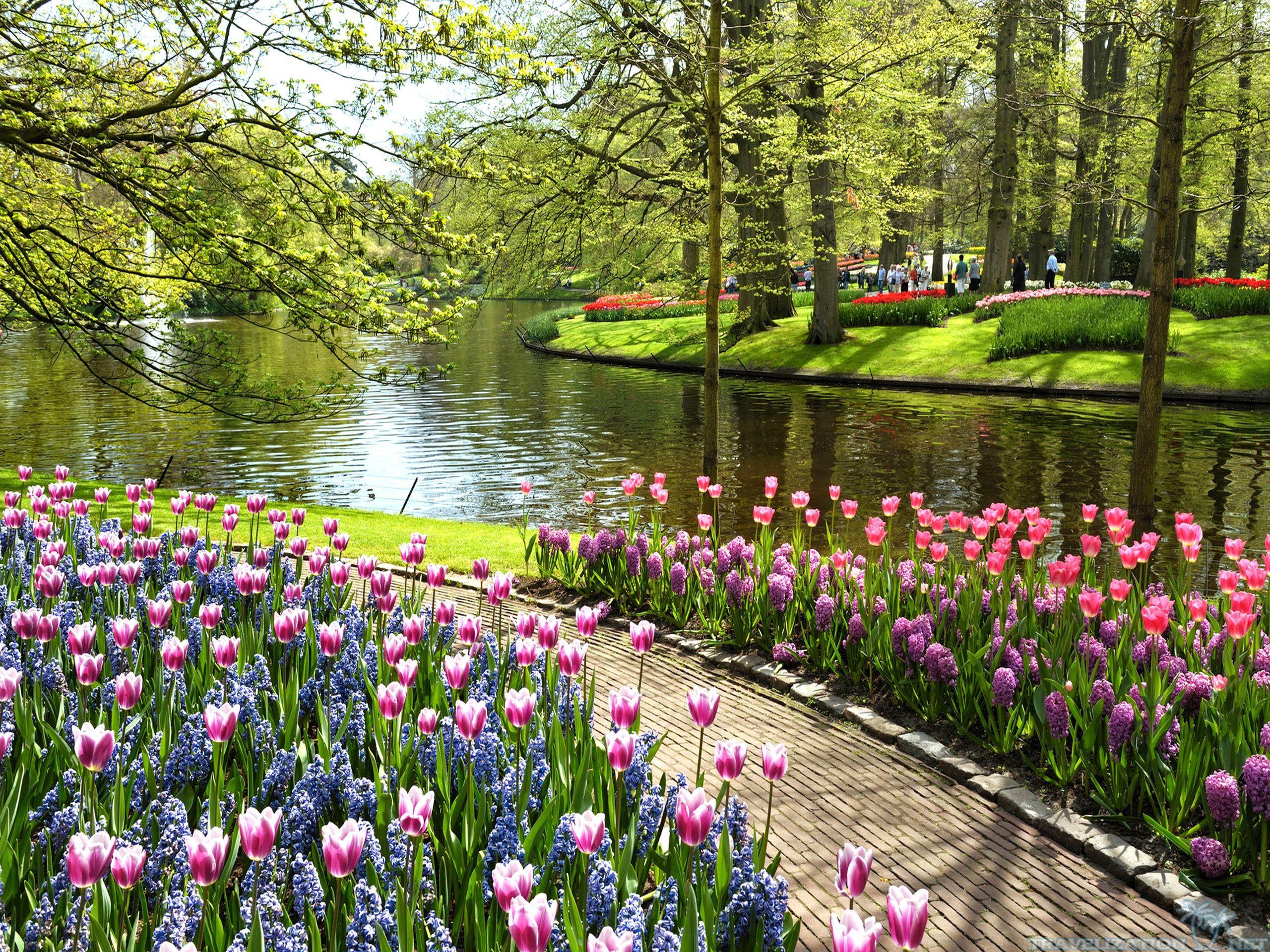 2560x1920 HD Live Gardens Picture, Wallpaper (XZKWP)