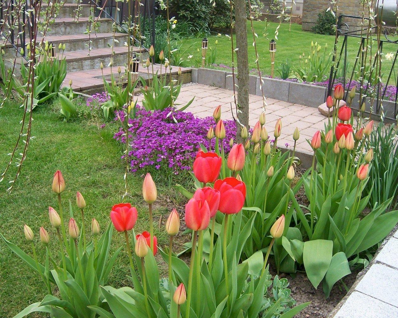 1280x1024 Spring Flowers Gardening Wallpaper Fanpop Desktop
