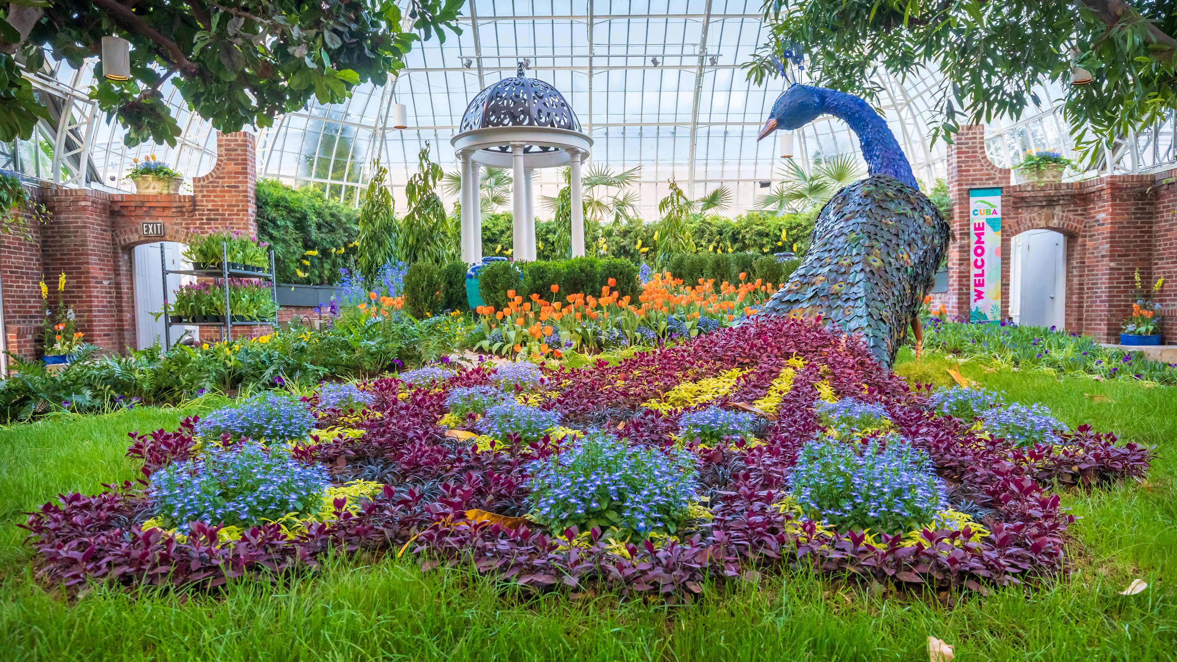 3840x2160 Desktop Wallpaper. Phipps Conservatory and Botanical Gardens