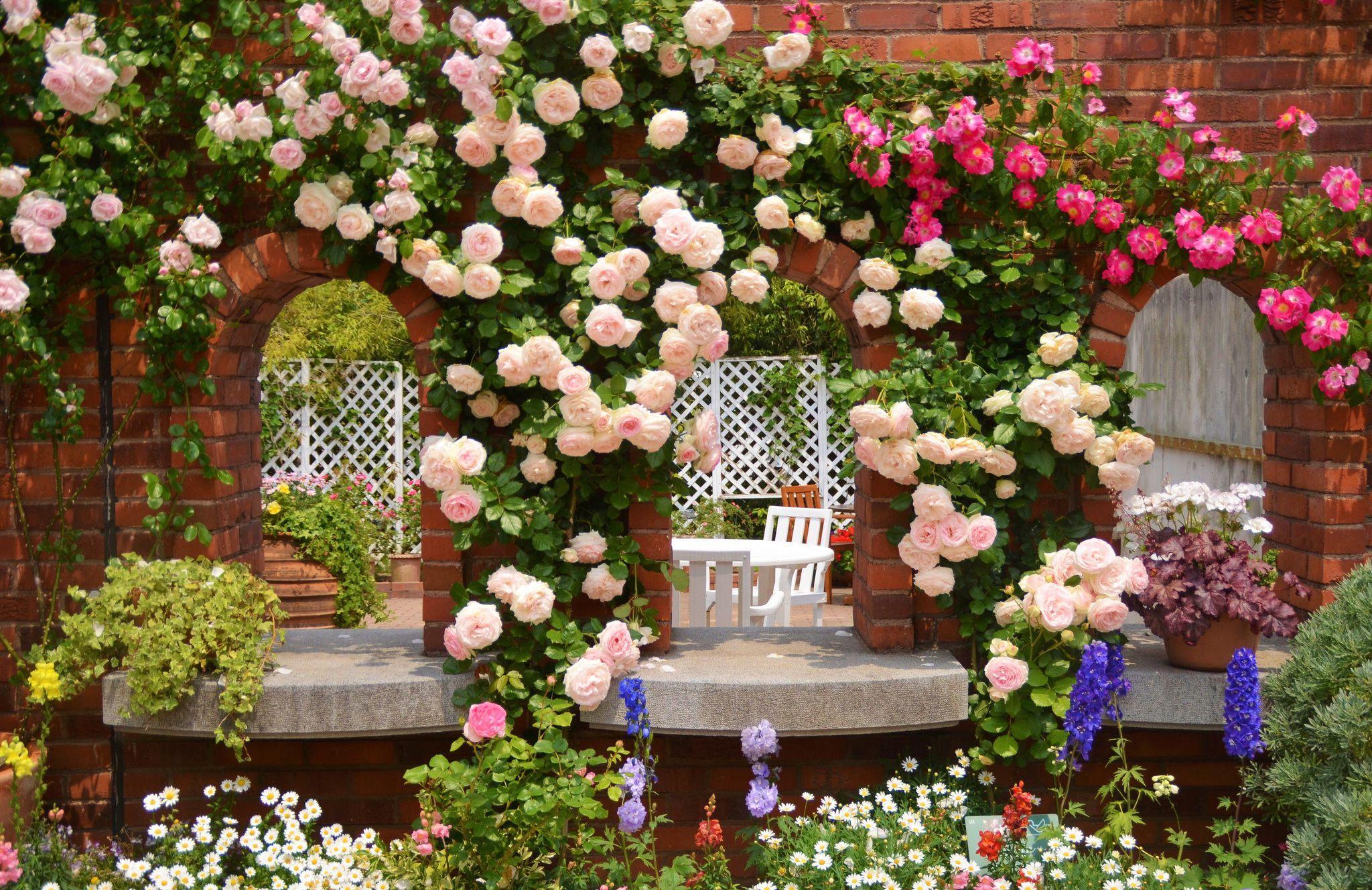 2048x1328 Rose Garden Wallpaper, Picture
