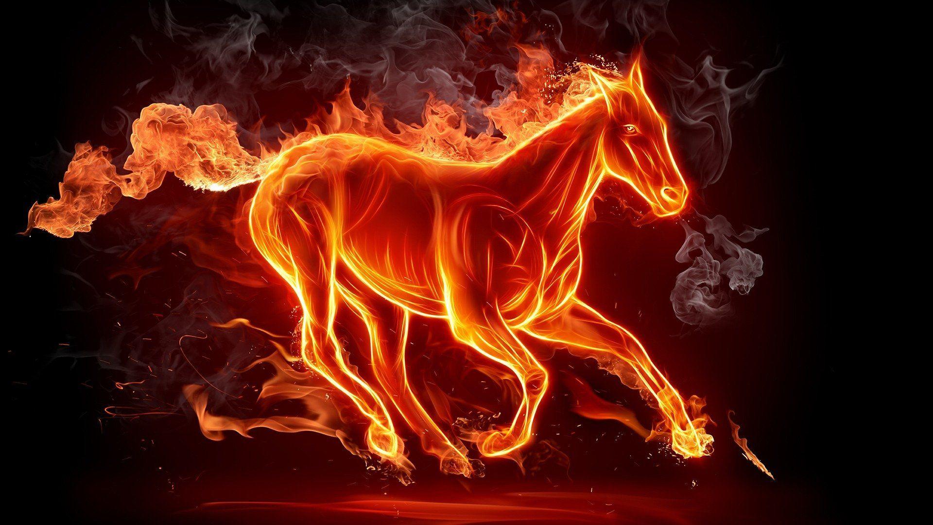 1920x1080 Horse Full HD Wallpaper and Background Imagex1080