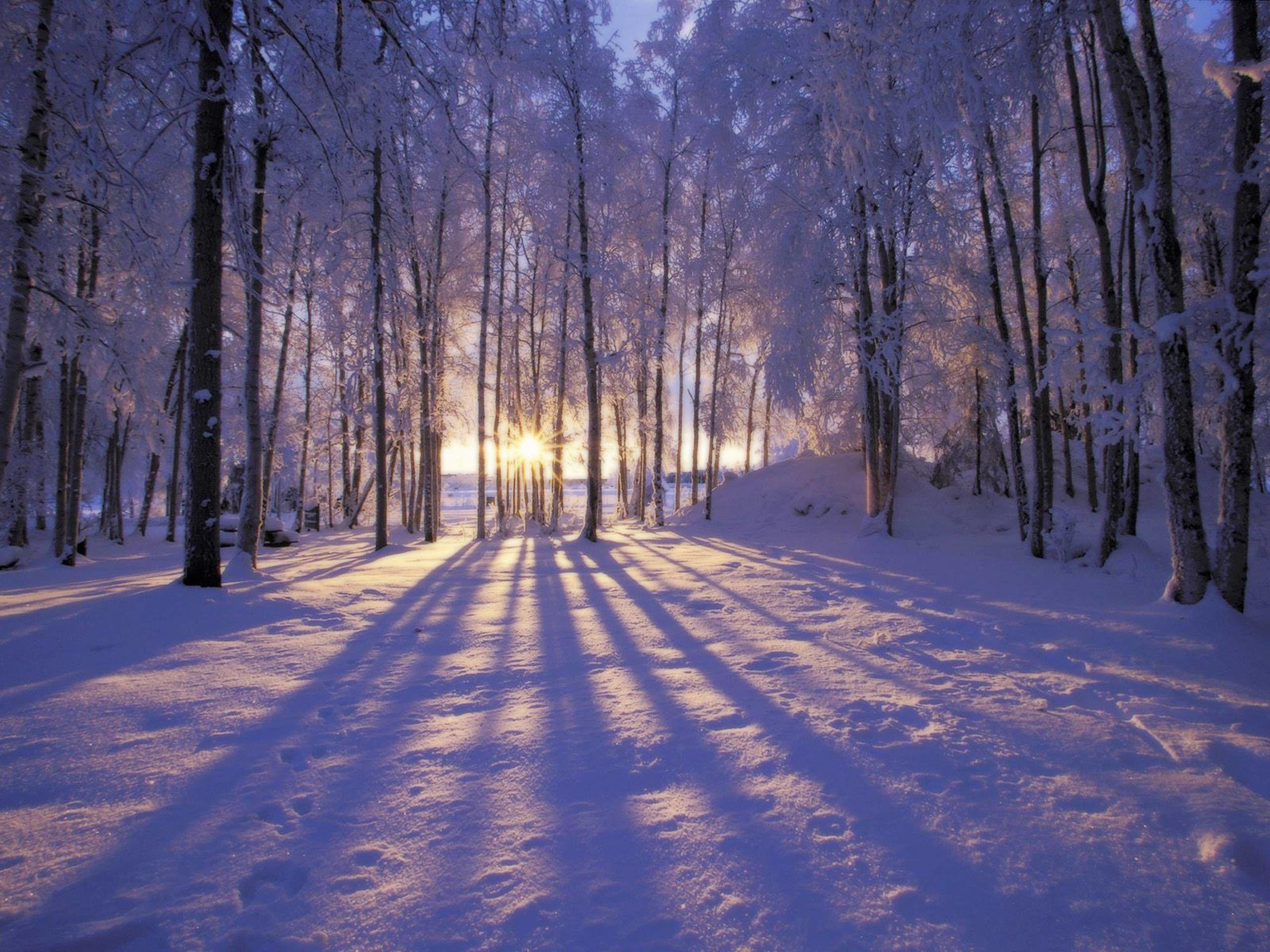 2560x1920 Winter Scene Wallpaper