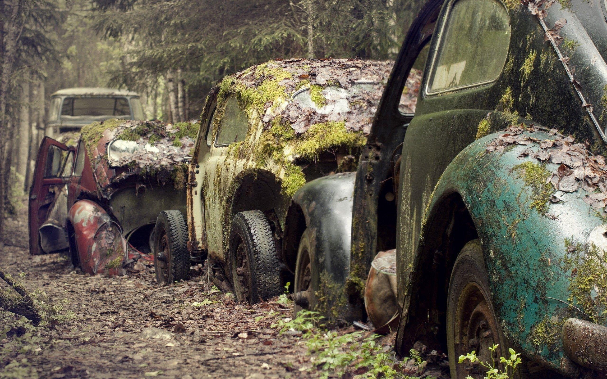 2560x1600 Urbex Wallpaper