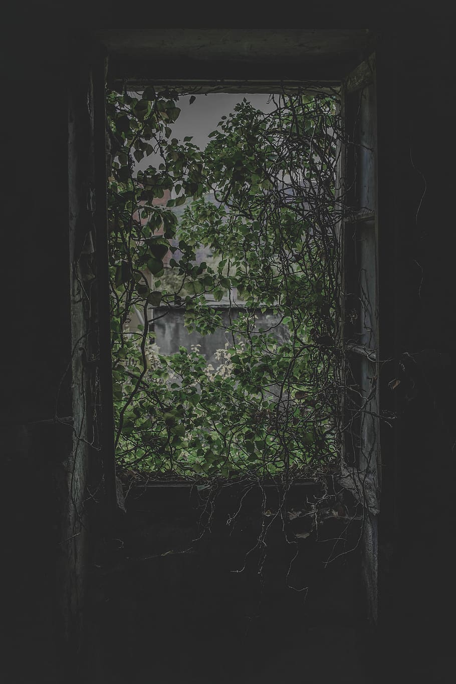 910x1365 HD wallpaper: france, saint-égrève, broken window, broken windows