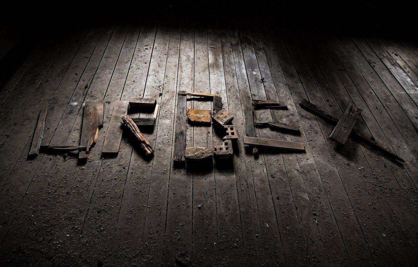 1332x850 Wallpaper macro, background, Urbex image for desktop, section