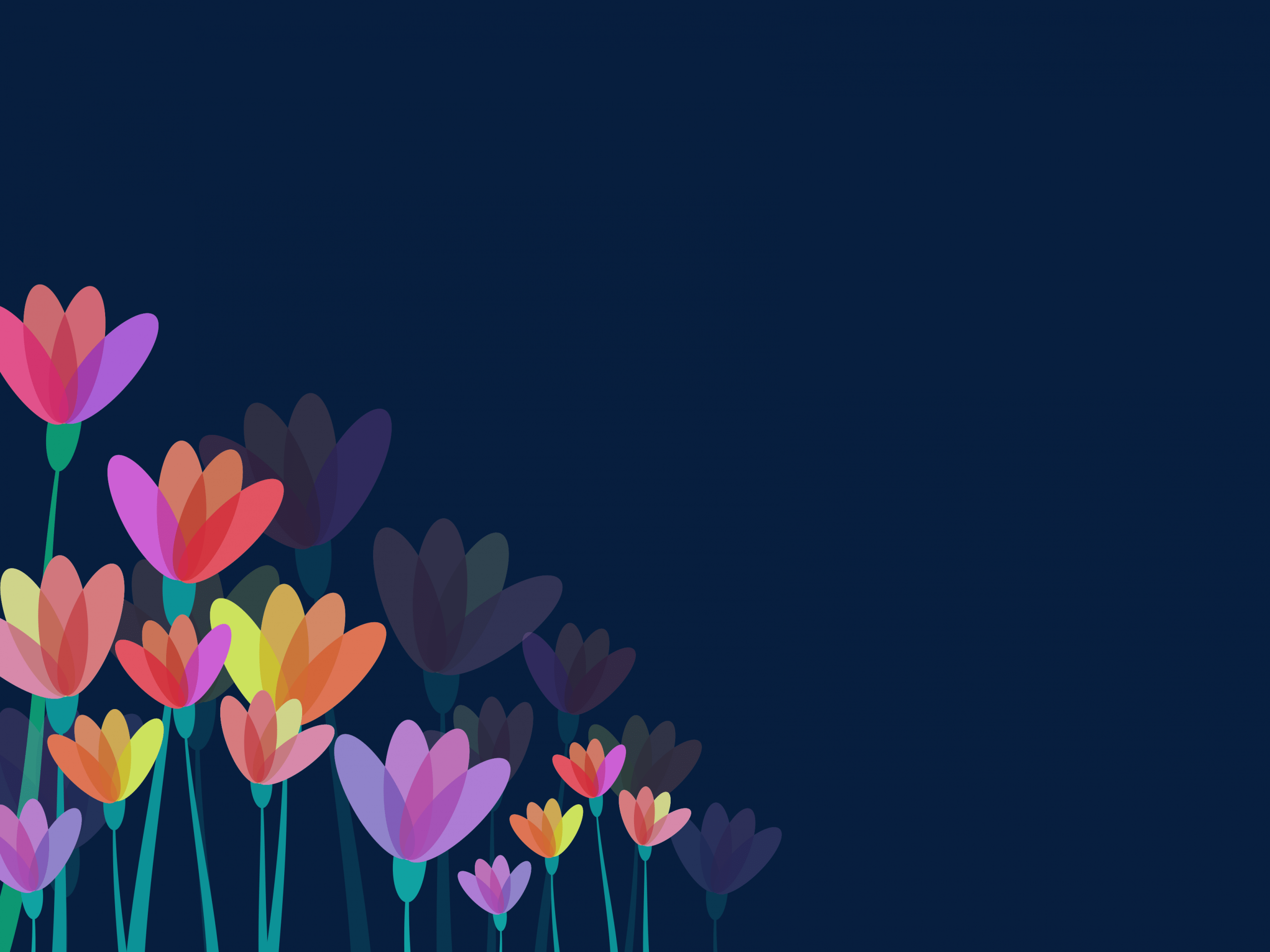 2560x1920 Download 2560x1920 Minimal Flowers, Vector Design Wallpaper