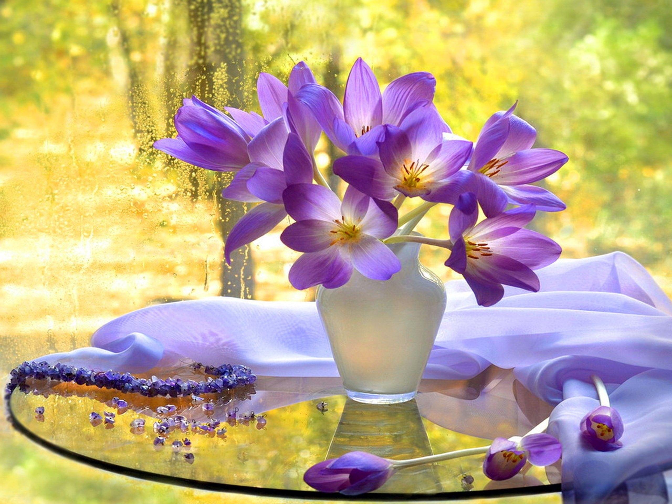 2560x1920 Beautiful Fall Flowers Wallpaper