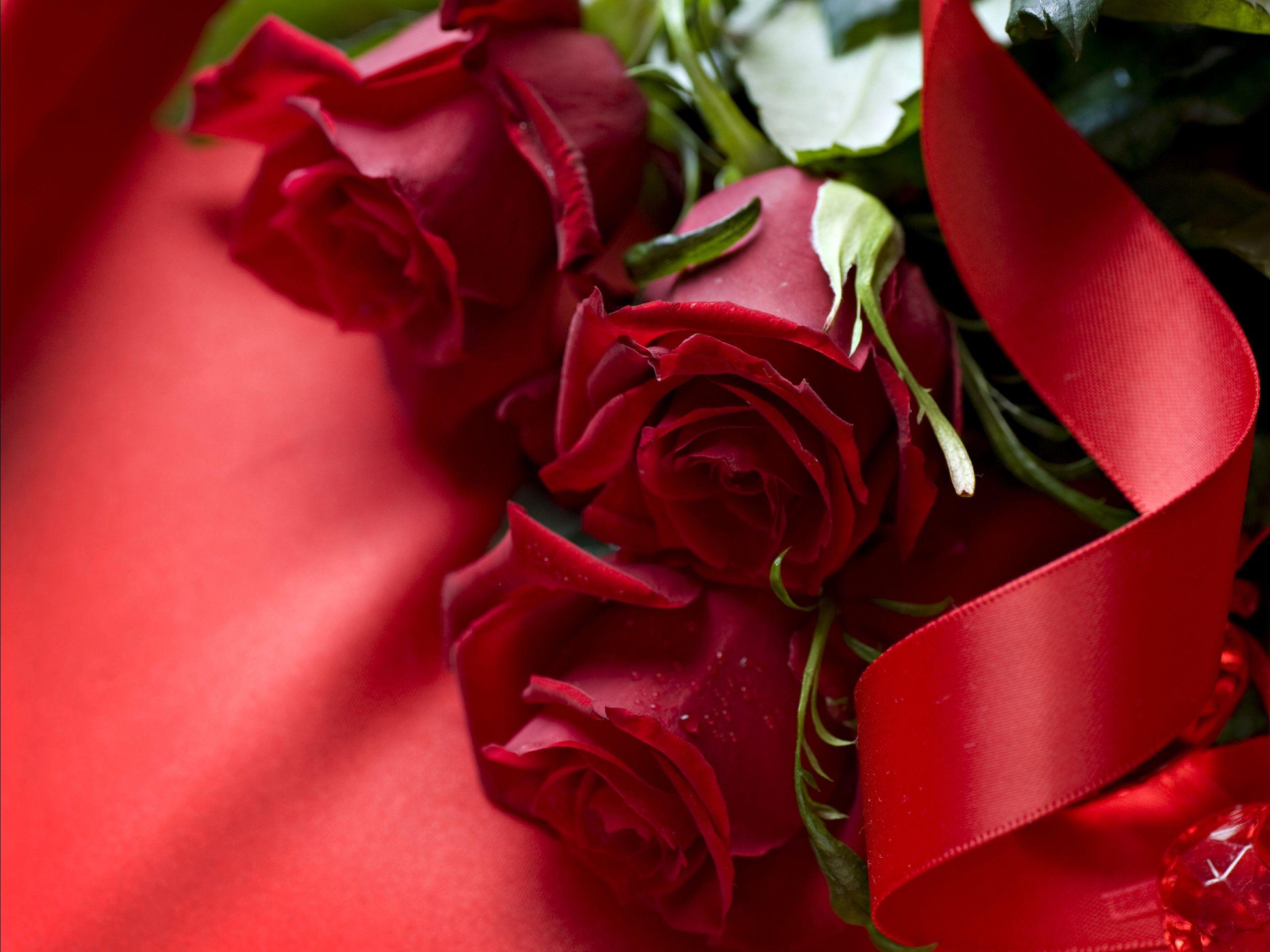 2560x1920 Red Roses Wallpaper for Desktop