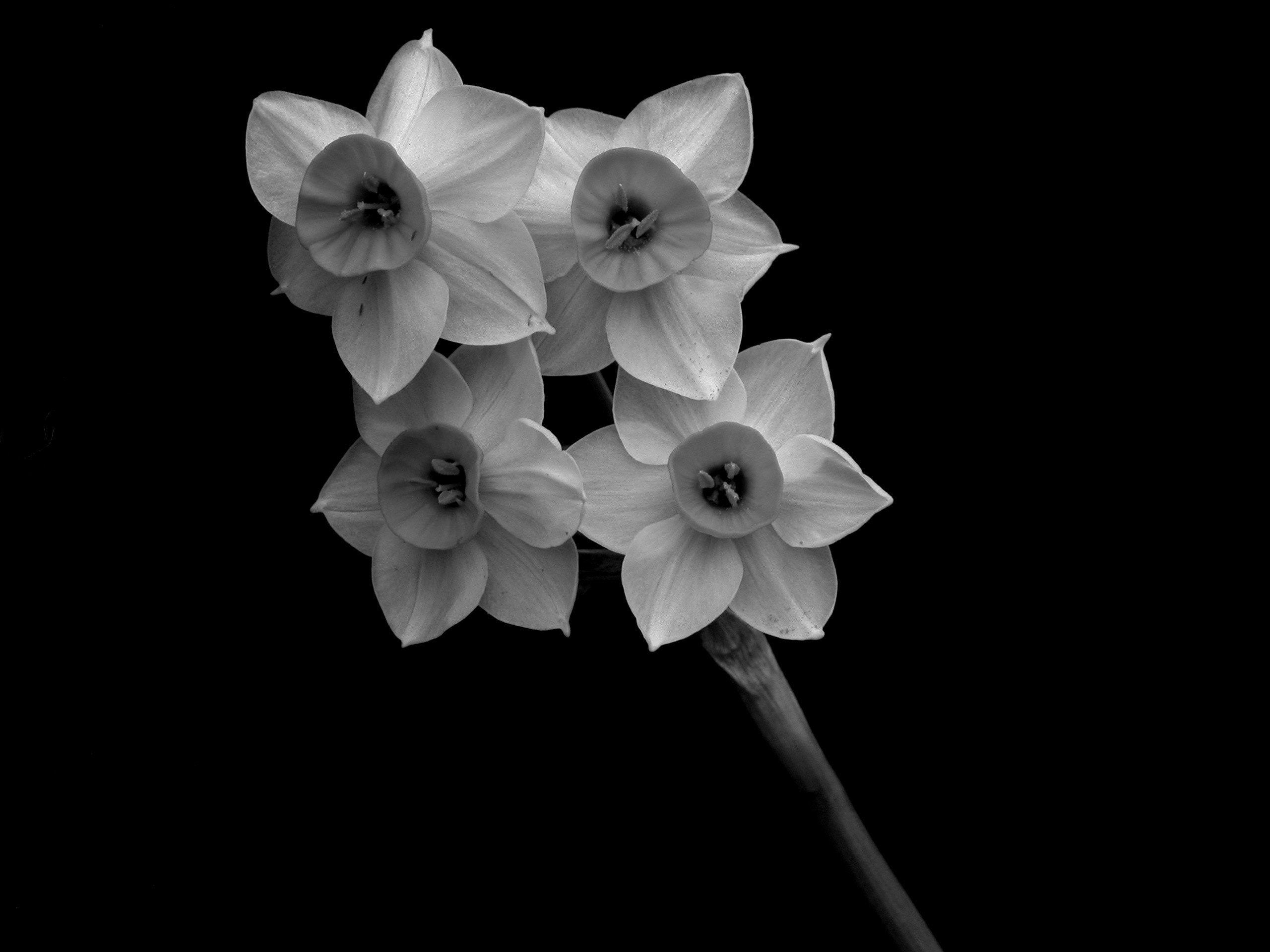 2560x1920 Amoled Wallpaper 27 - [2560x1920]