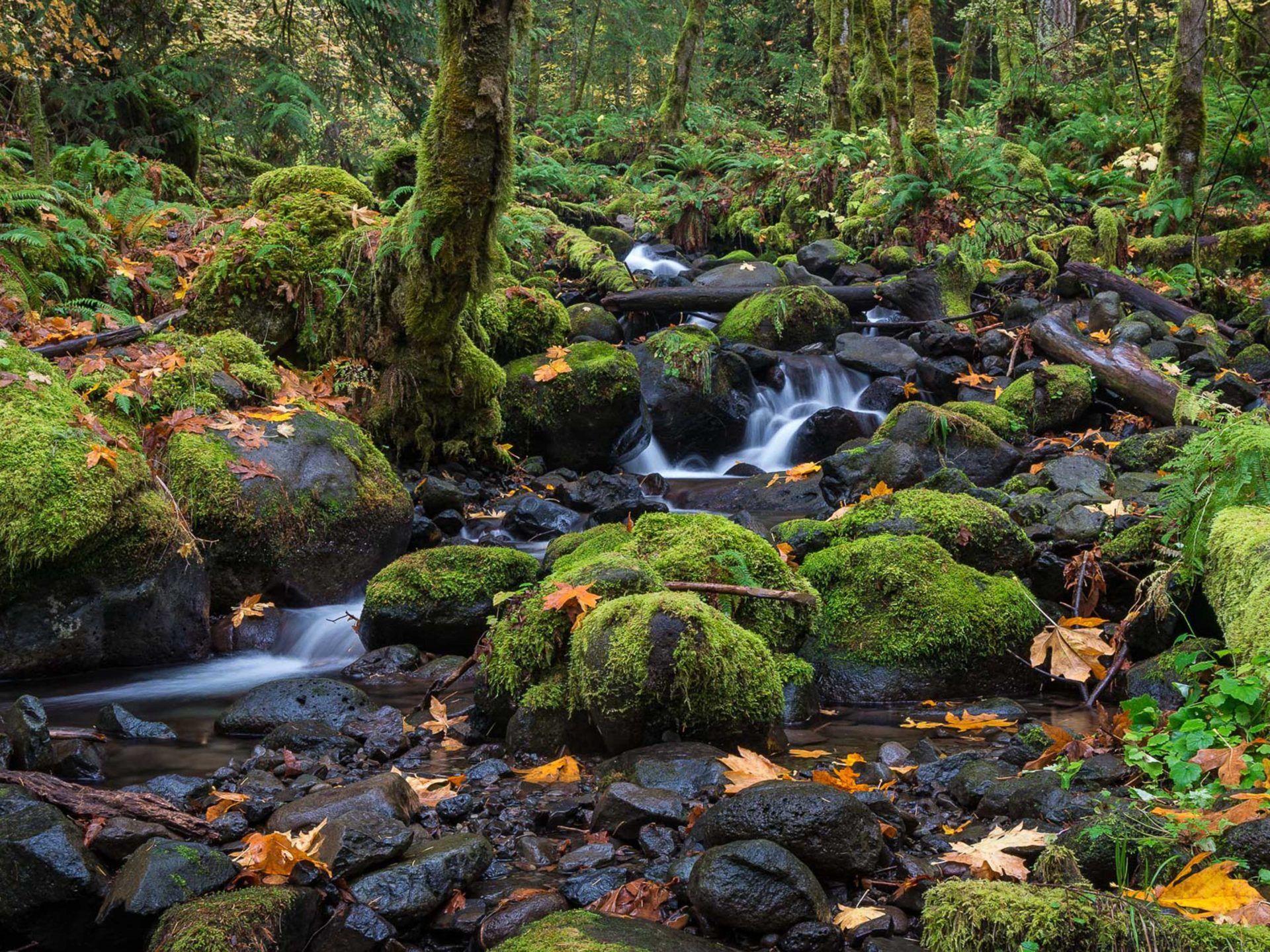 1920x1440 Dry Creek Falls In Portland Oregon And Washington 4k Ultra HD