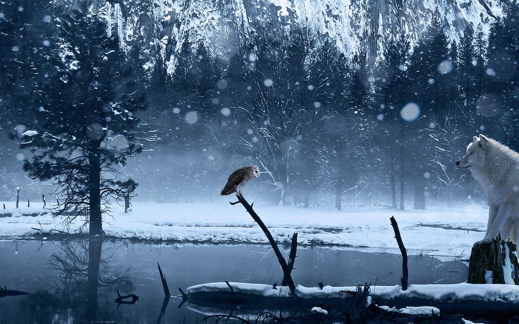 1680x1050 Free download Wallpaper art winter wolf owl snow lake wallpaper