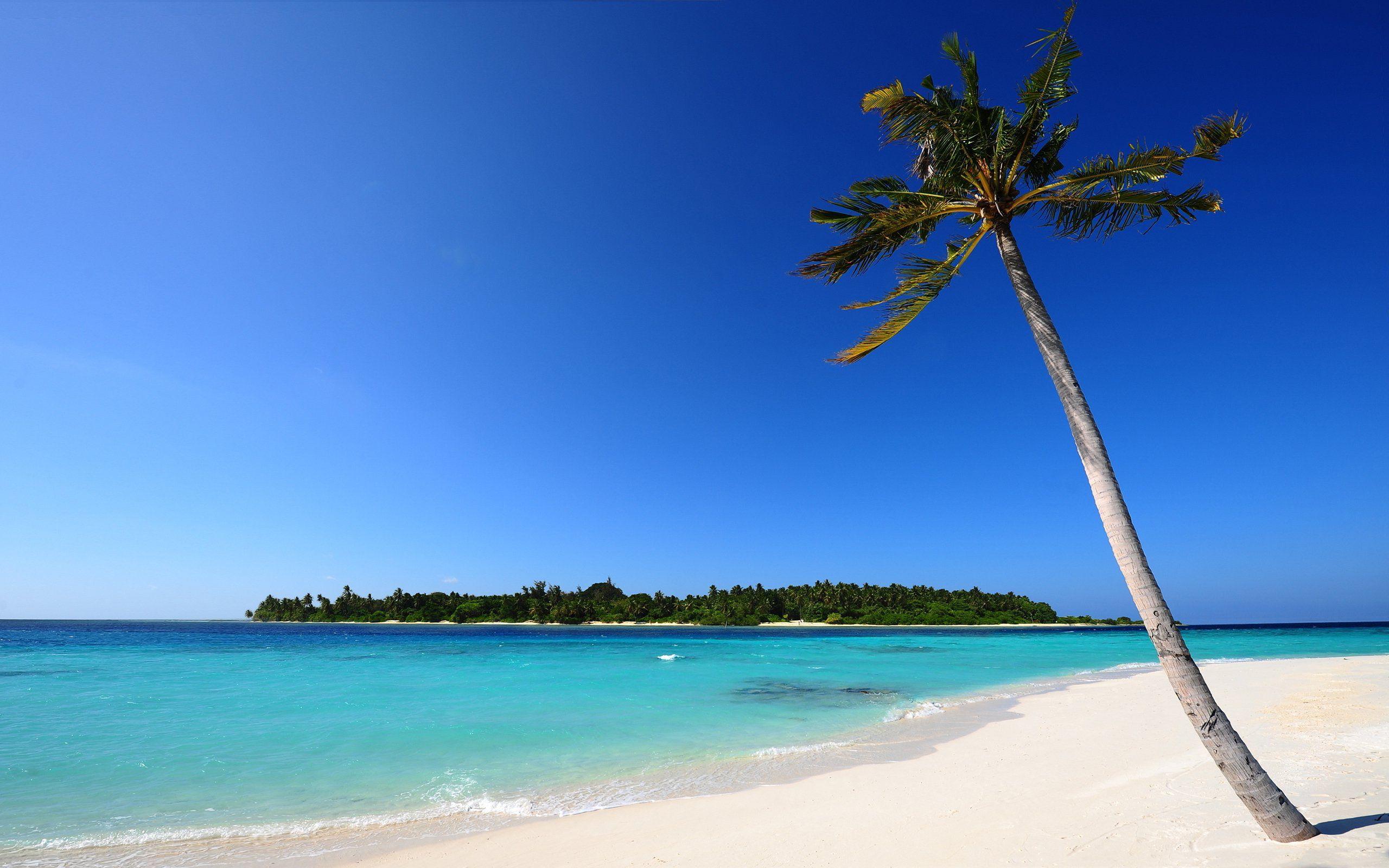2560x1600 Pretty White Sand wallpaperx1600